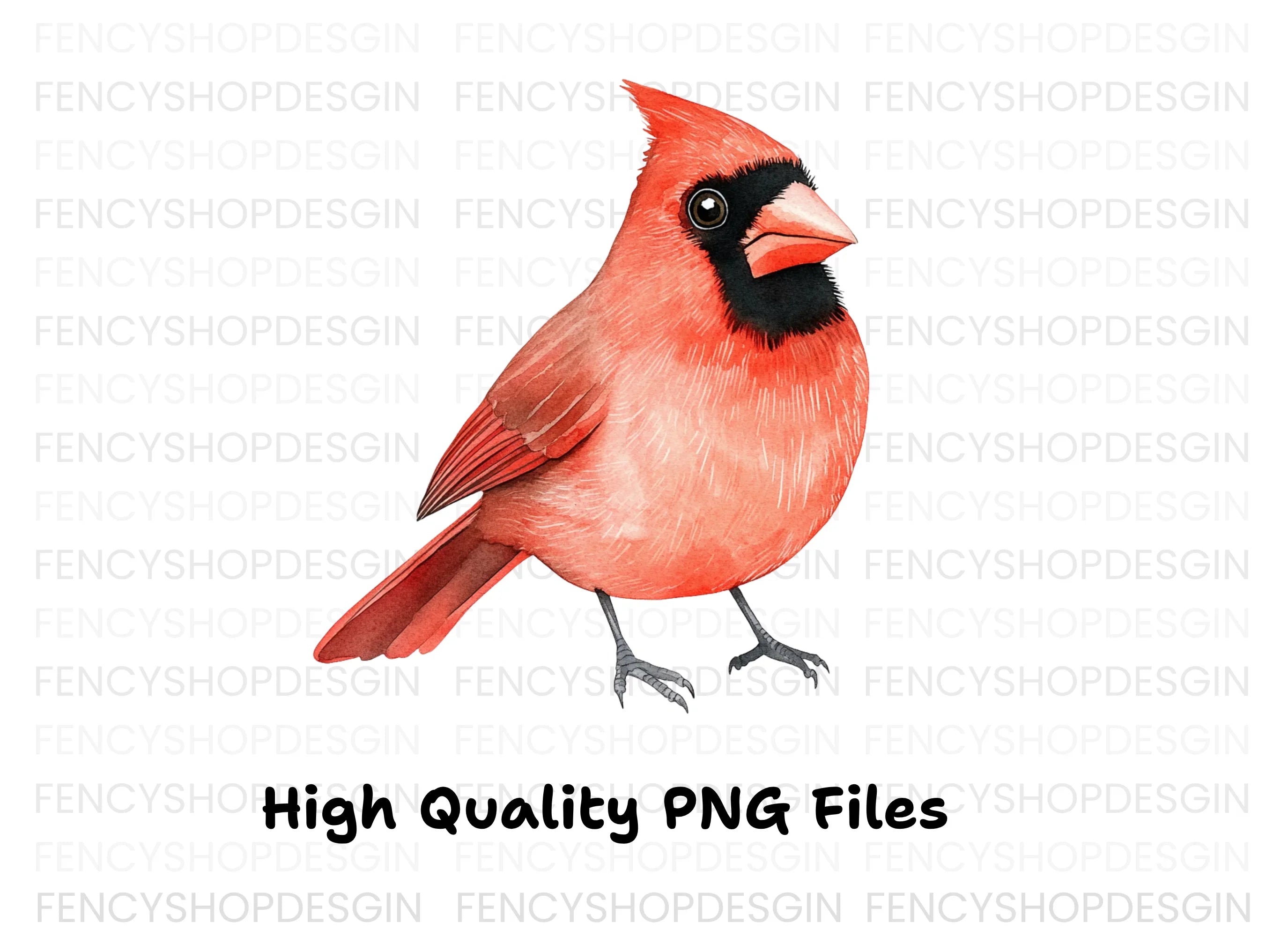 Realistic Red Cardinal Bird Clipart Bundle