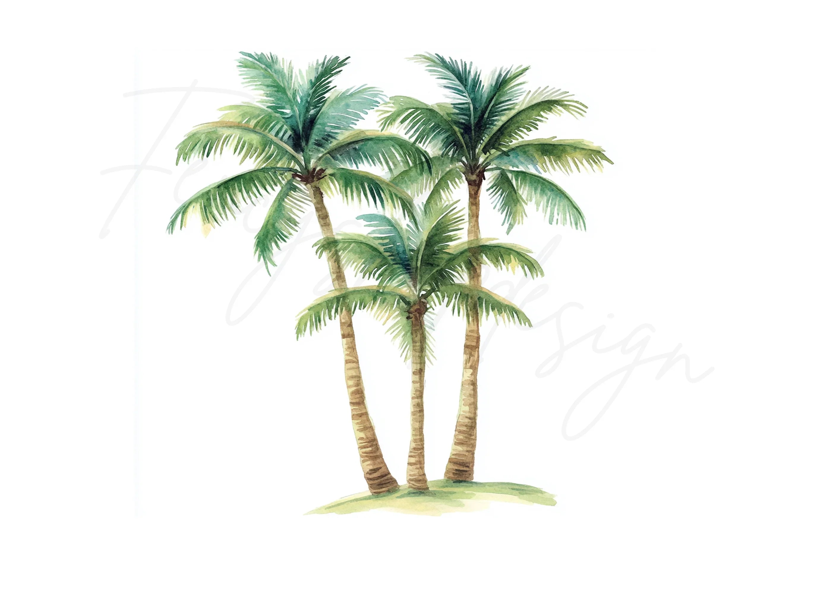 Palm Trees Clipart Bundle