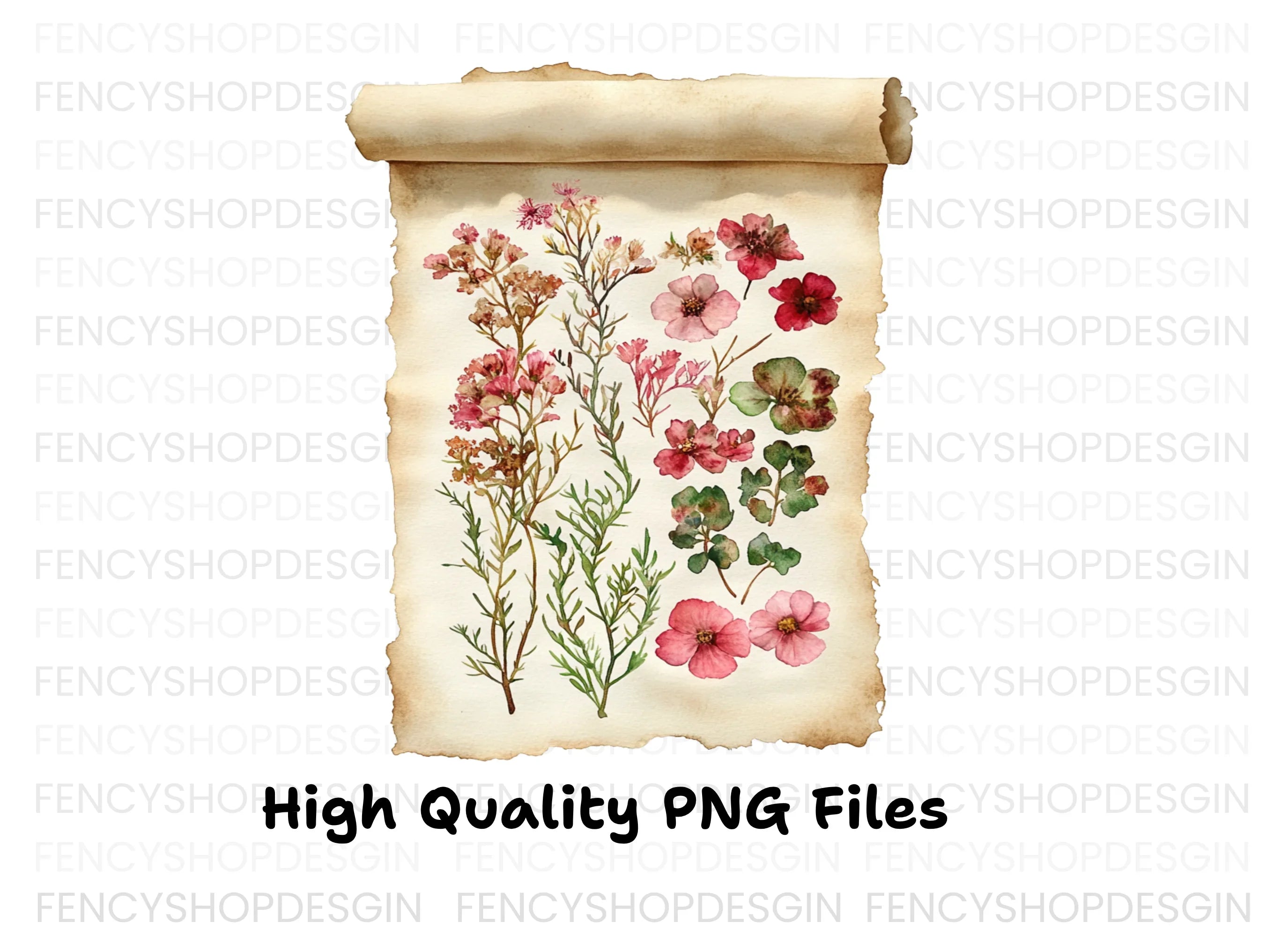 Vintage Floral Scroll Clipart Bundle