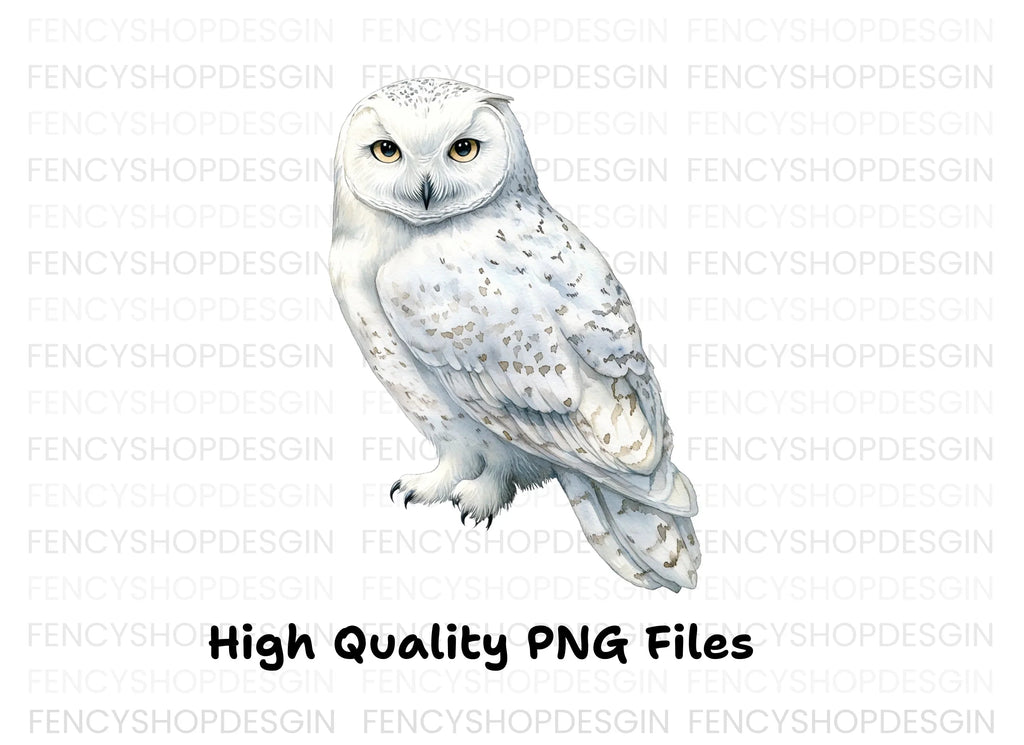 Elegant Snowy Owl Clipart Bundle