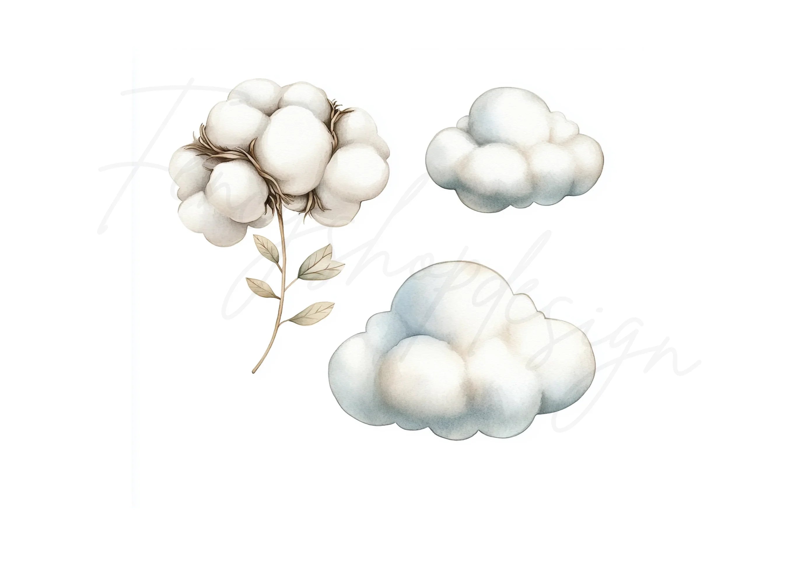 Fluffy Cotton Clouds Botanicals Clipart Bundle