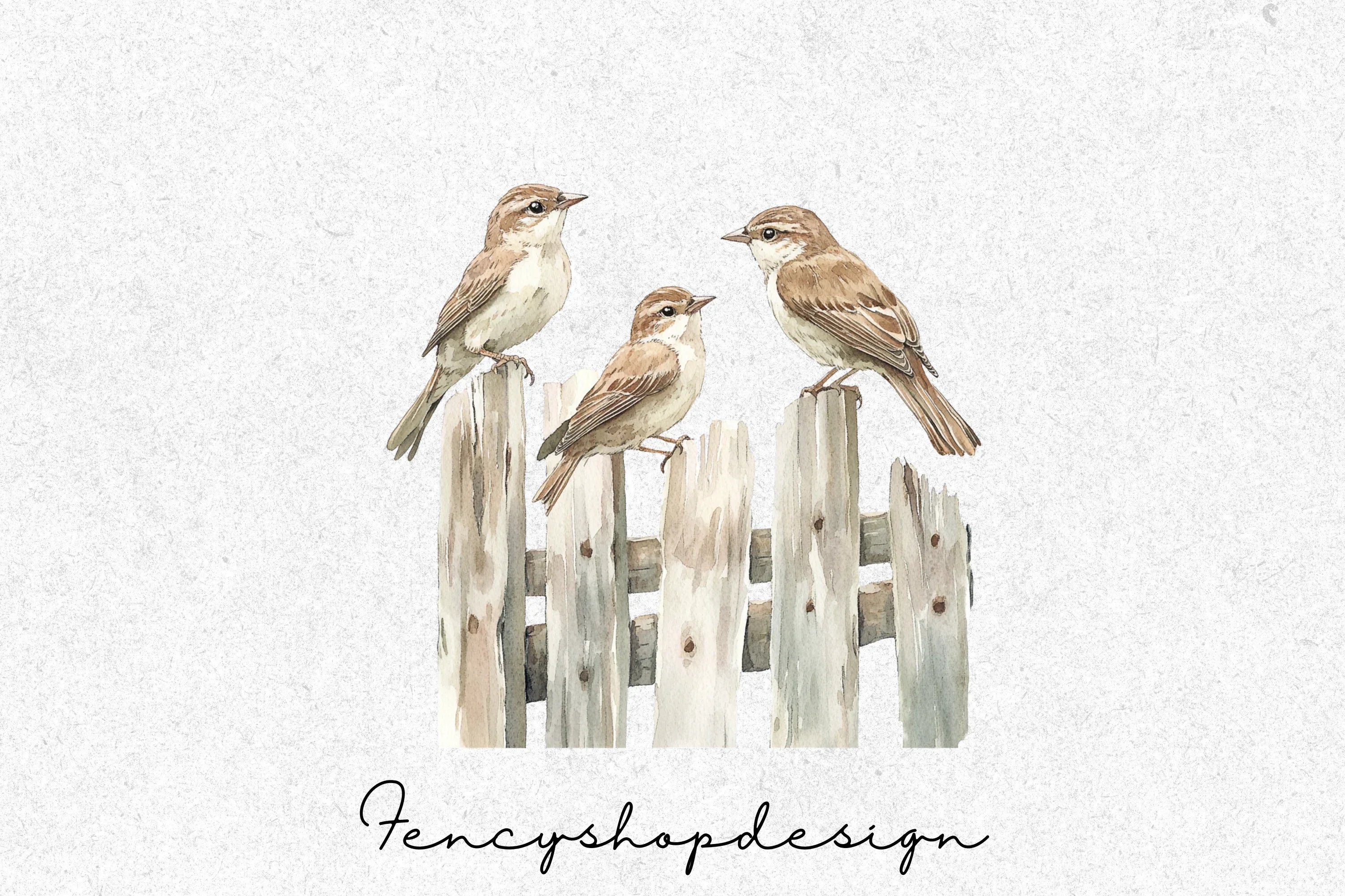 Sparrow Bird Clipart Bundle