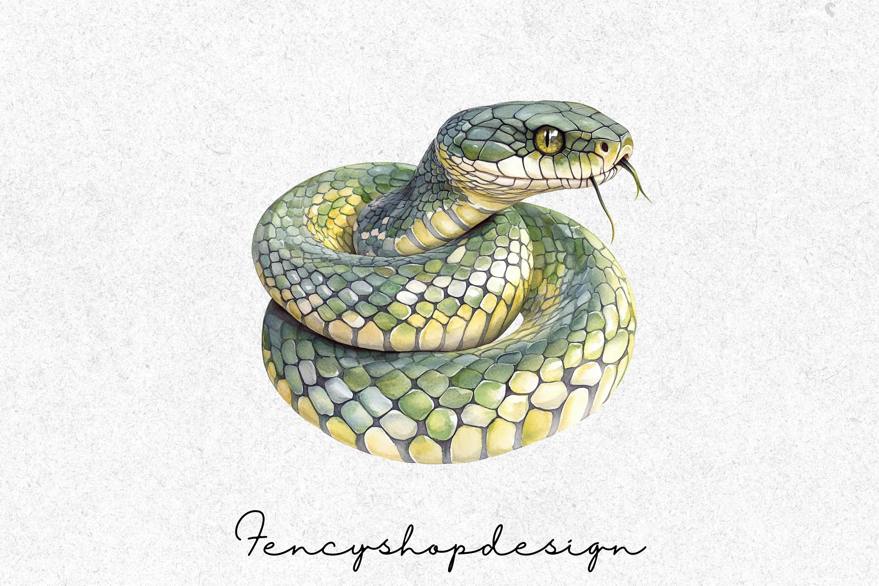 Diverse Snake Reptile Wildlife Clipart Bundle