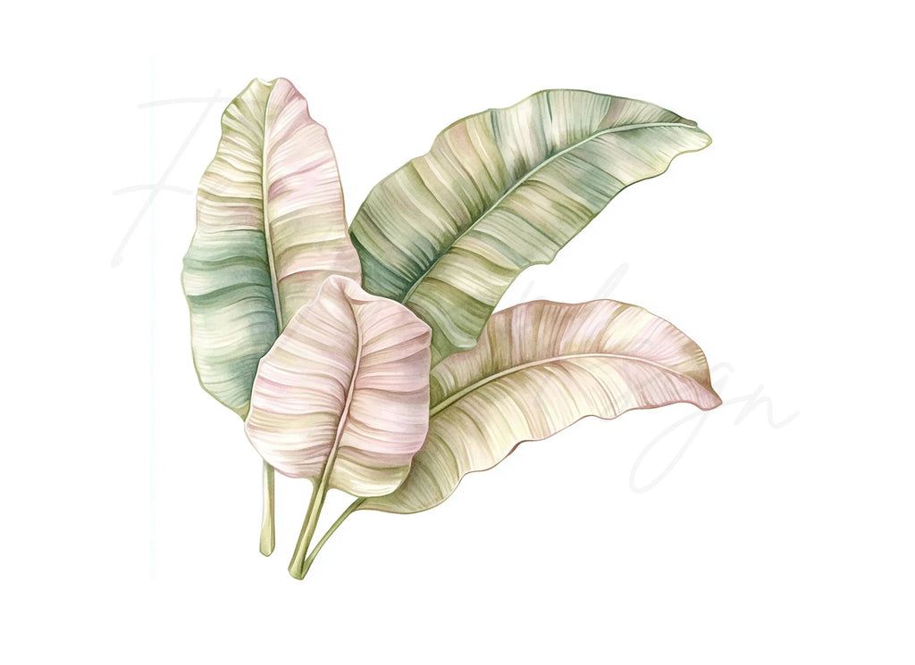 Banana Leaf Clipart Bundle