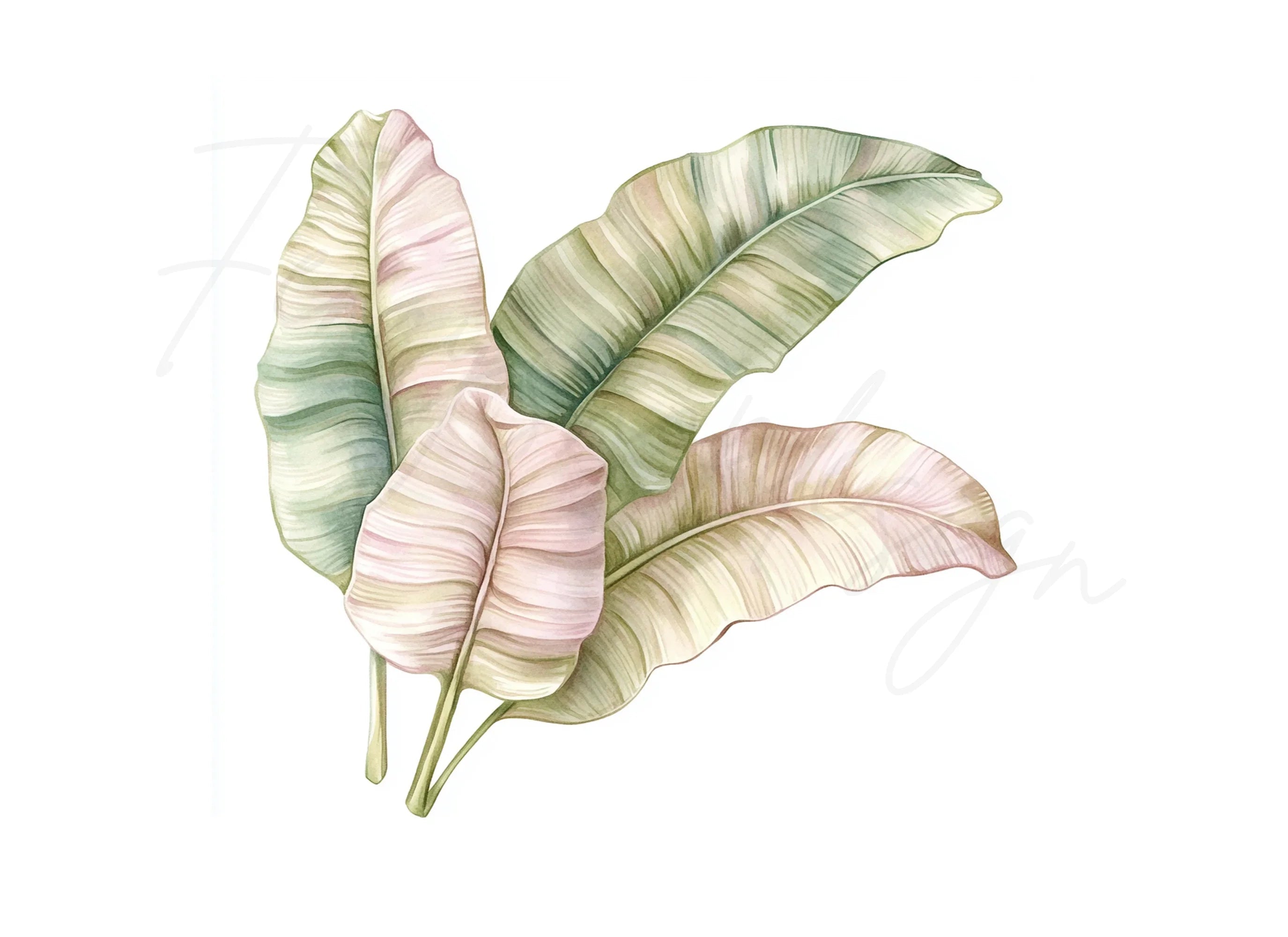 Banana Leaf Clipart Bundle
