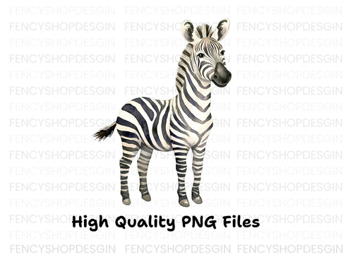 Adorable Zebra Clipart Bundle