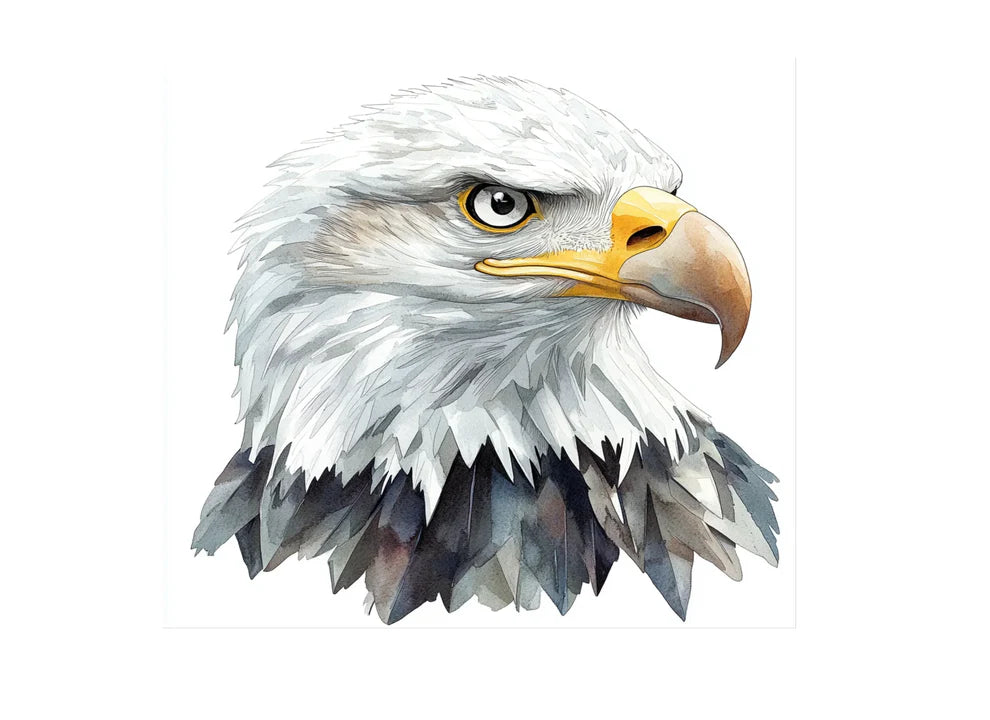 Majestic Bald Eagle Head Clipart Bundle