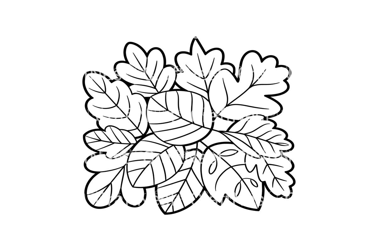 Autumn Leaves Coloring Books