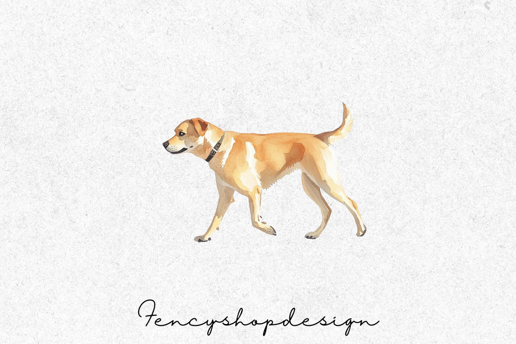 Woman Walking Dog Clipart Bundle