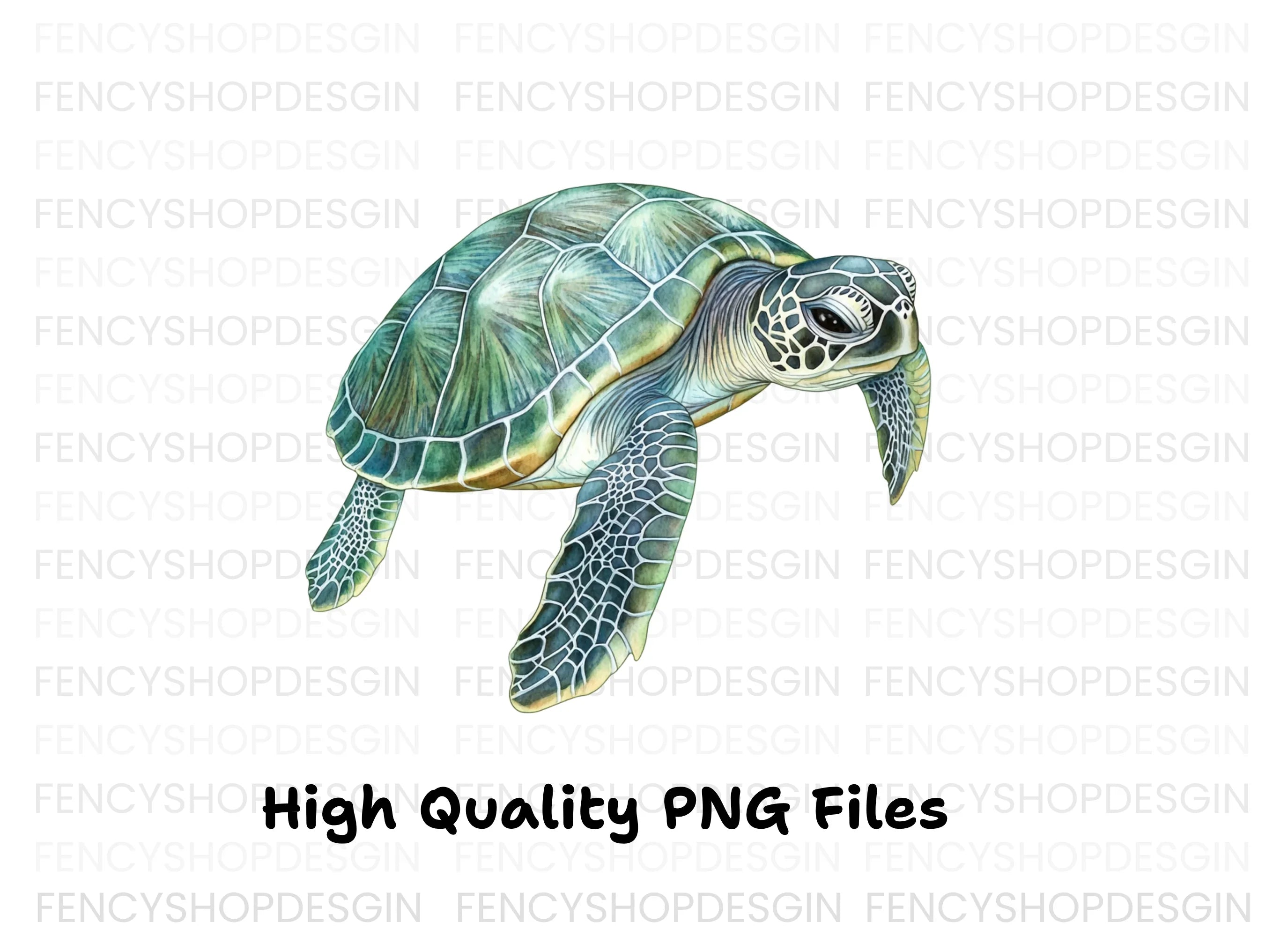 Oceanic Green Turtle Clipart Bundle