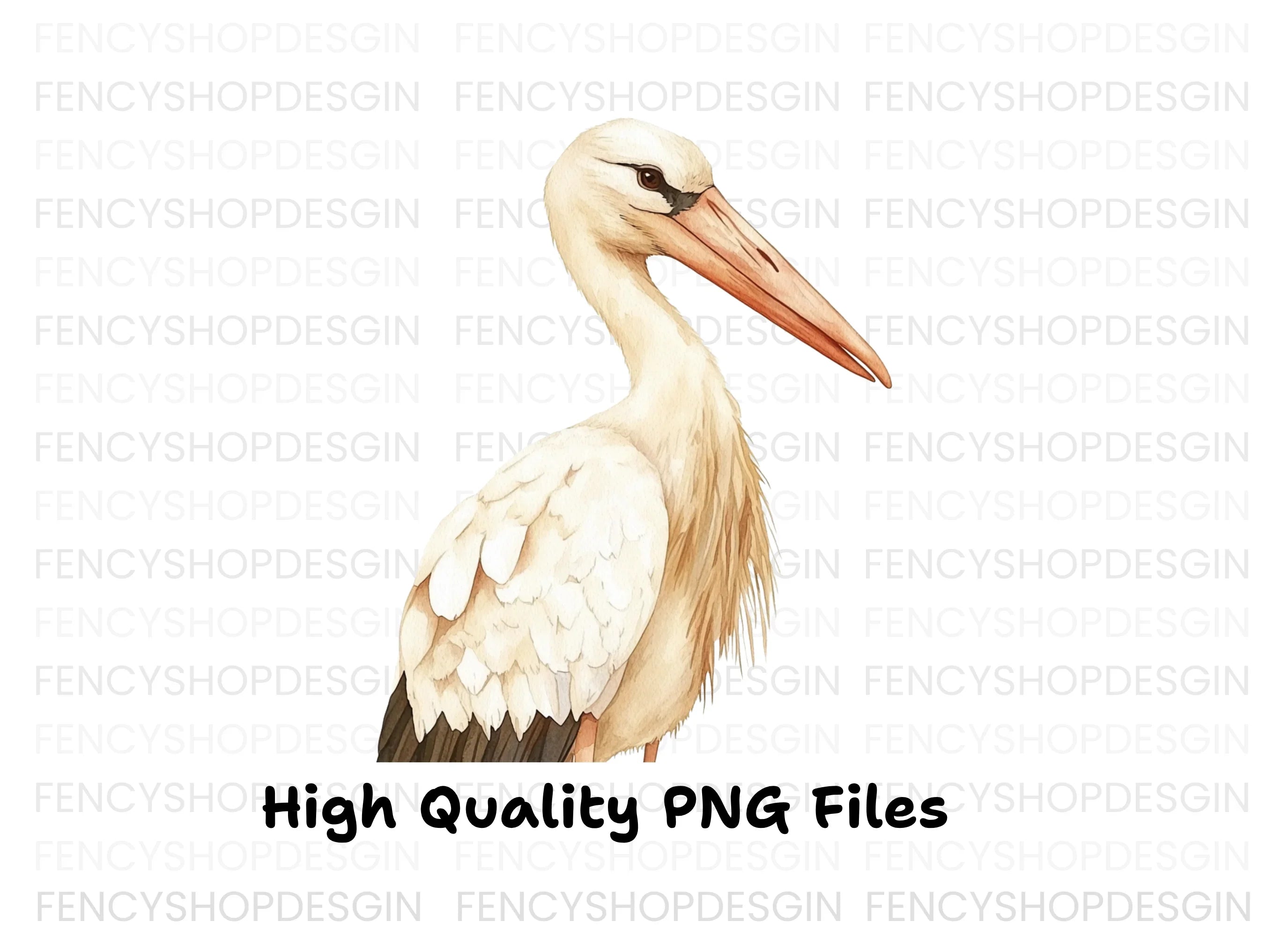 Stork Illustrations Clipart Bundle