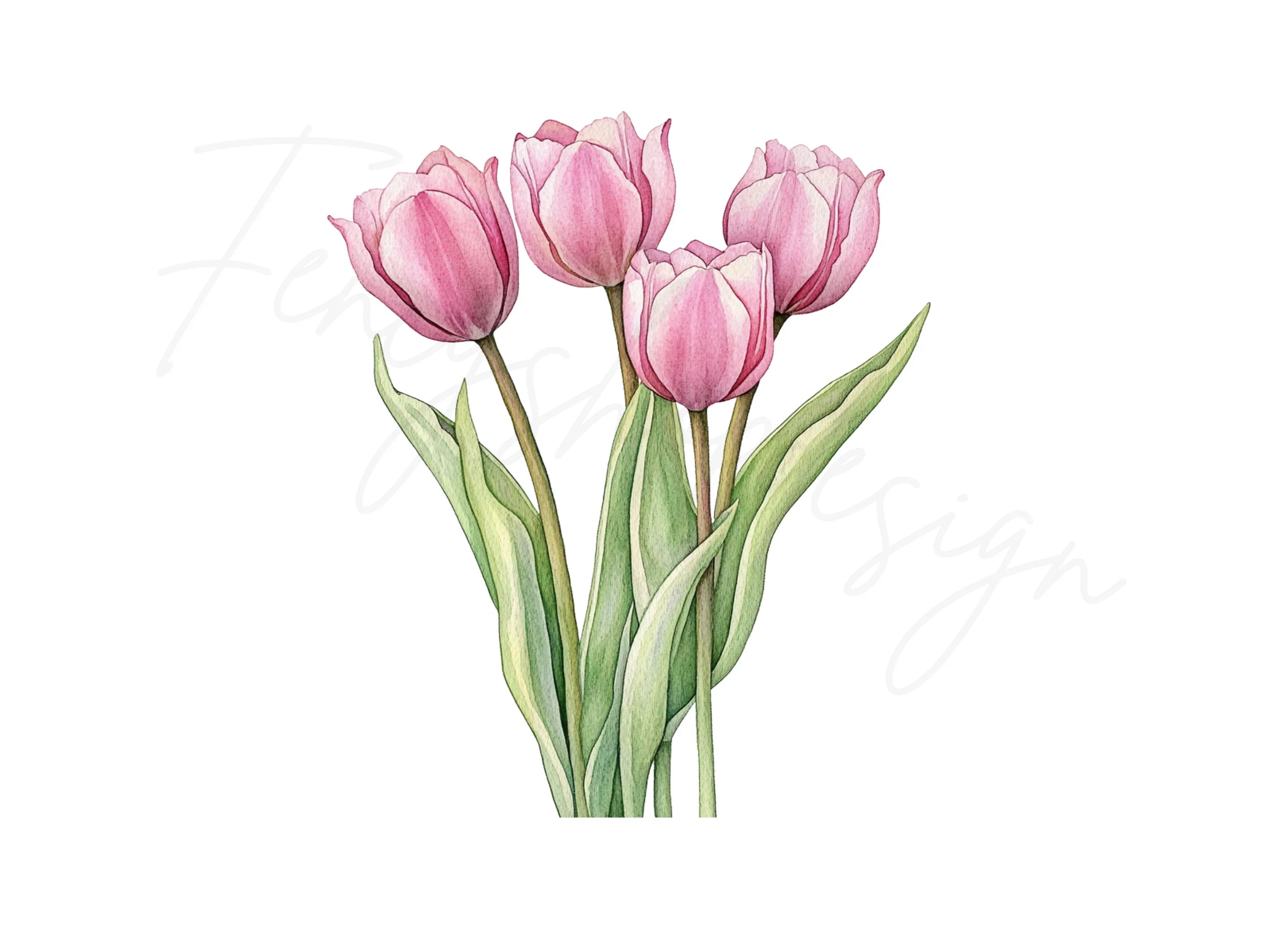 Pink Tulip Bouquets Clipart Bundle