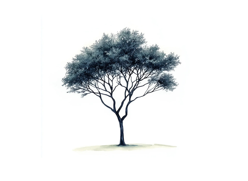 Tree Silhouettes Clipart Bundle