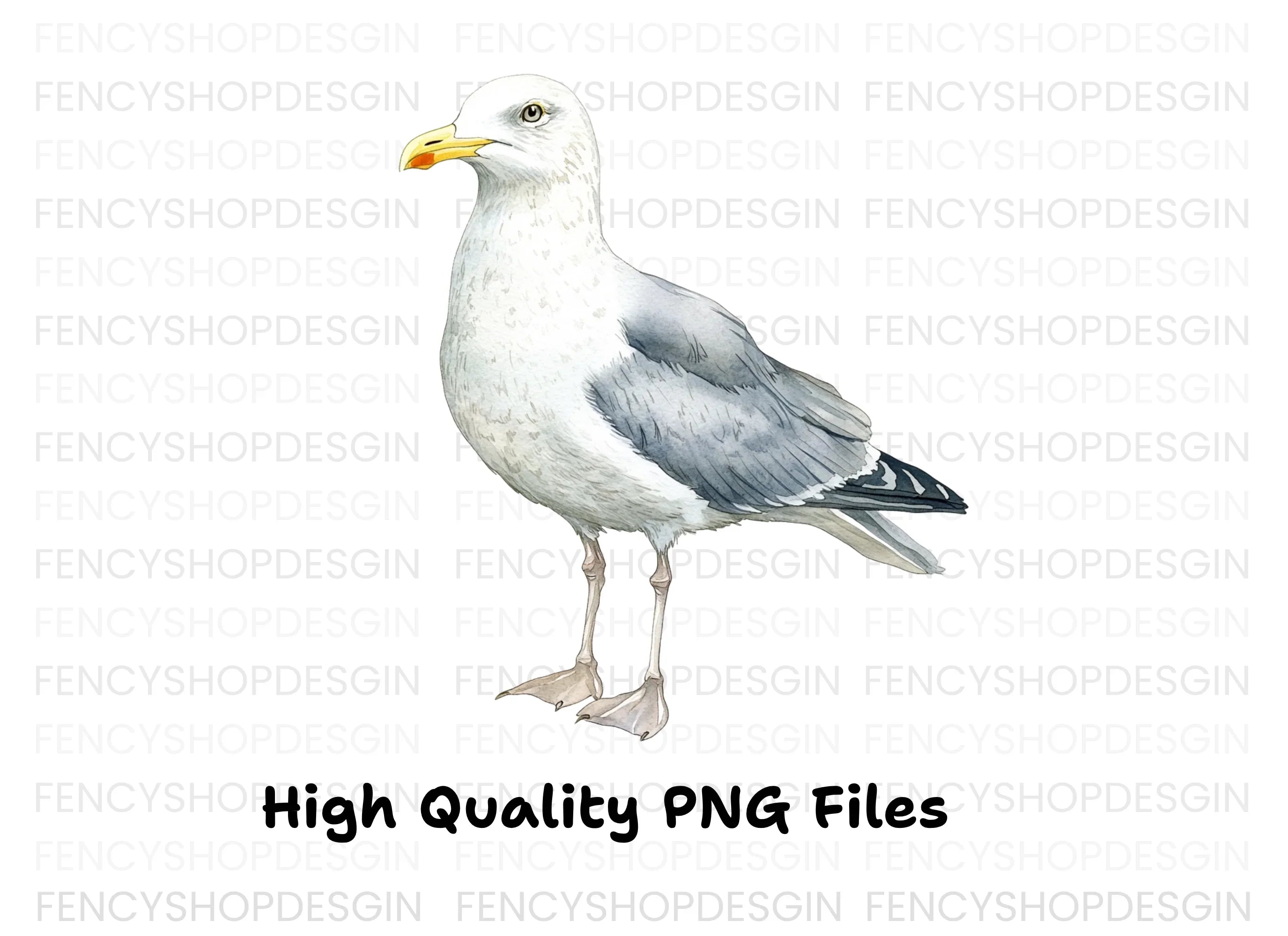 Vibrant Seagull Clipart Bundle
