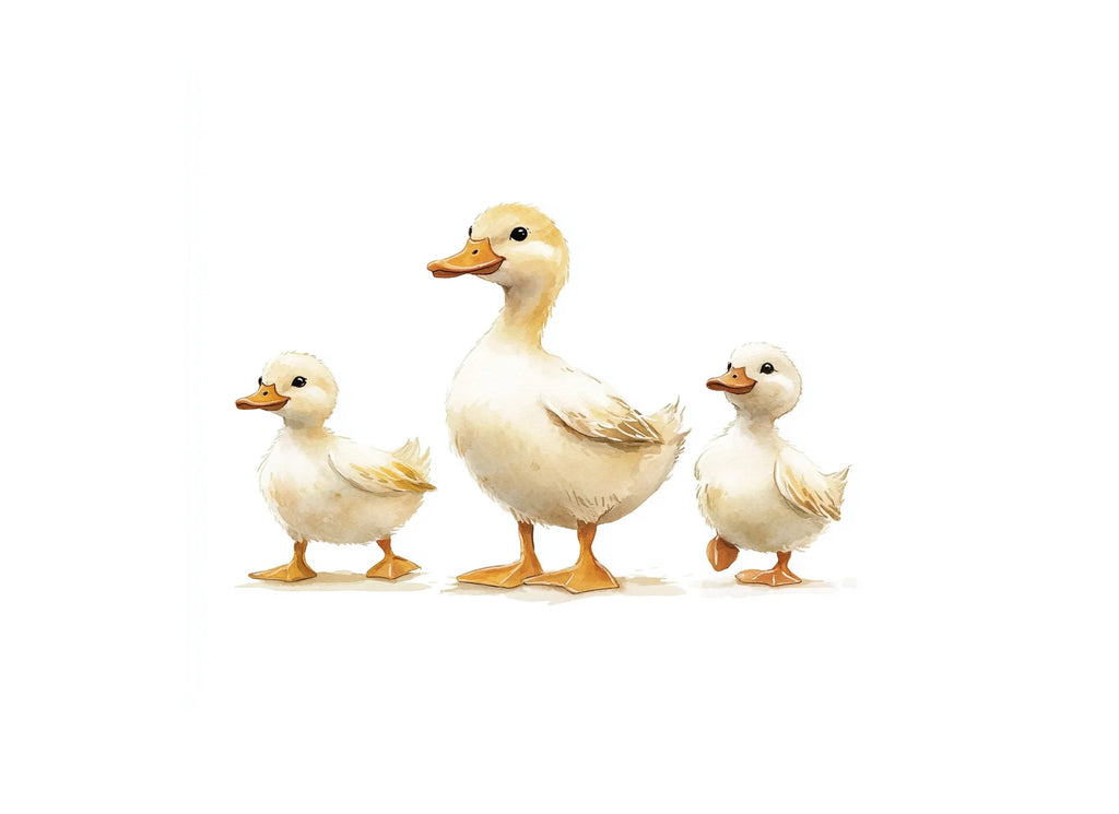 Cute Duck Family Clipart Bundle