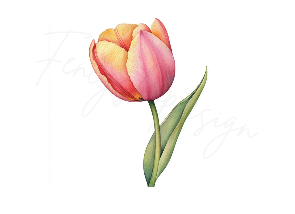 Elegant Pink and Yellow Tulip Clipart Bundle