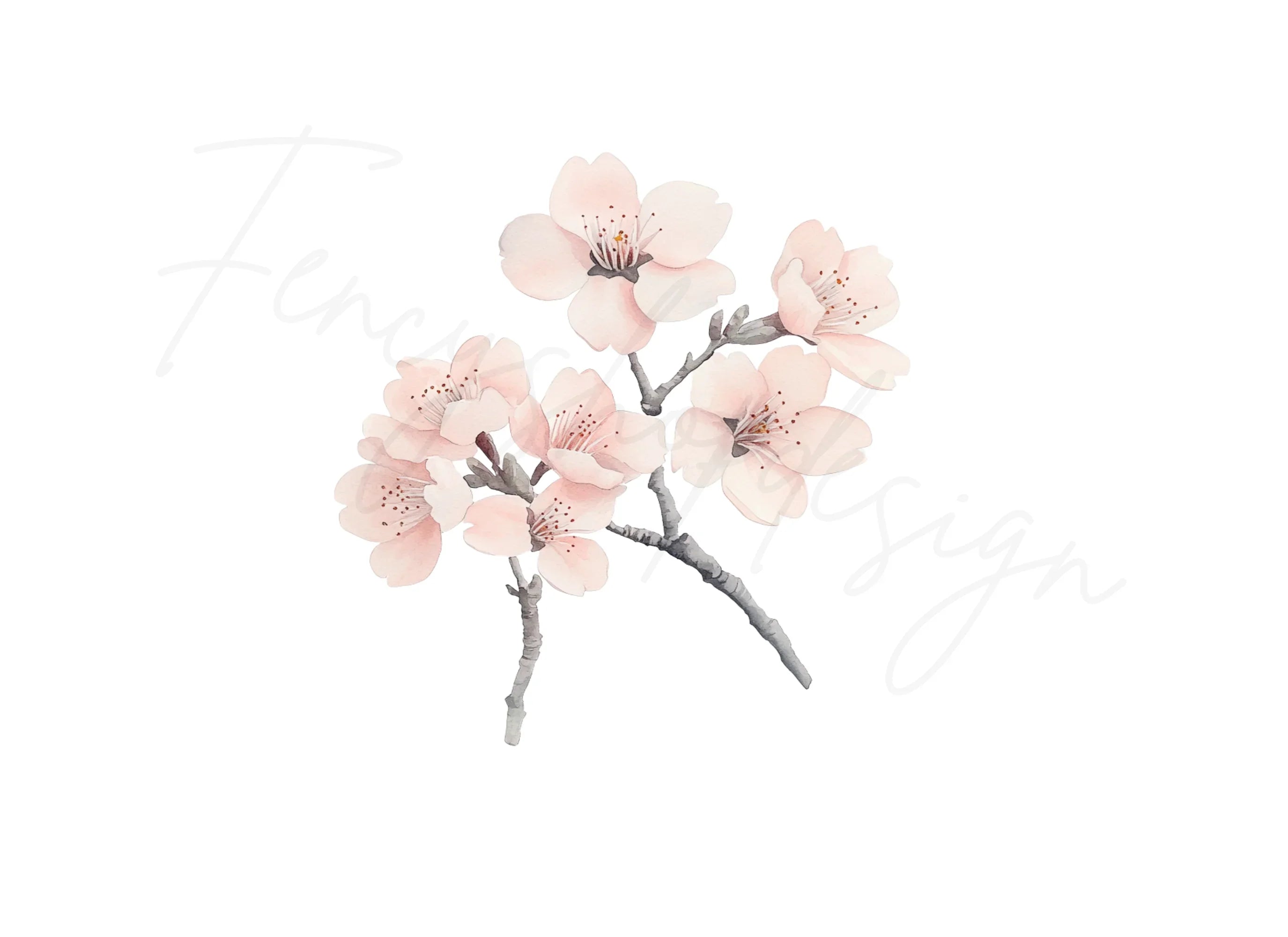 Delicate Cherry Blossom Clipart Bundle
