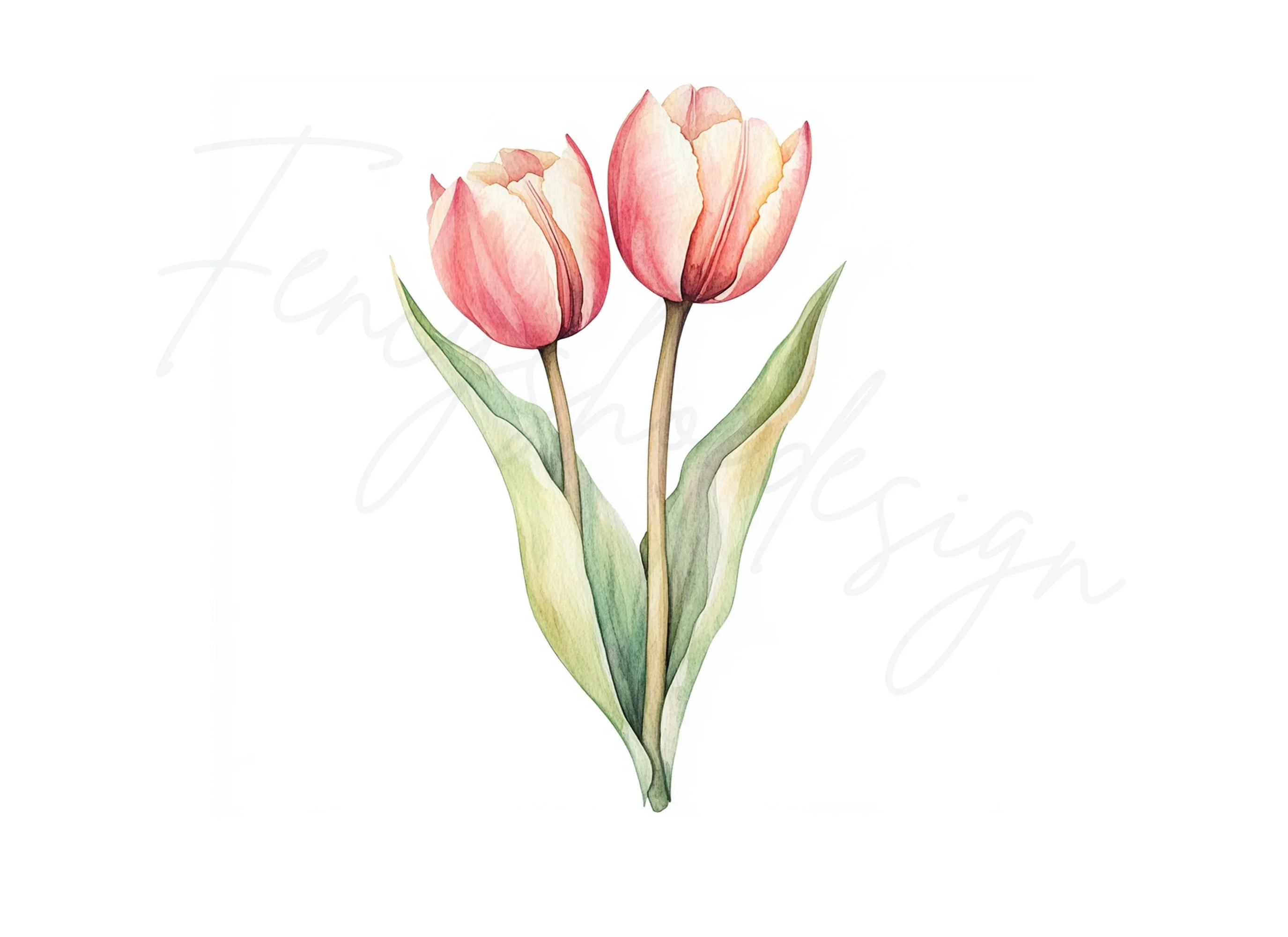 Pink Tulip Flower Clipart Bundle