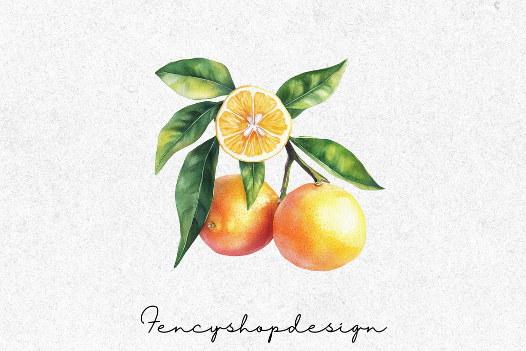 Citrus Fruits Blossoms Clipart Bundle