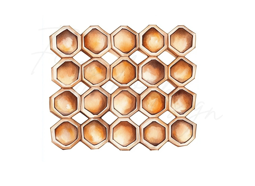 Honeycomb Clipart Bundle