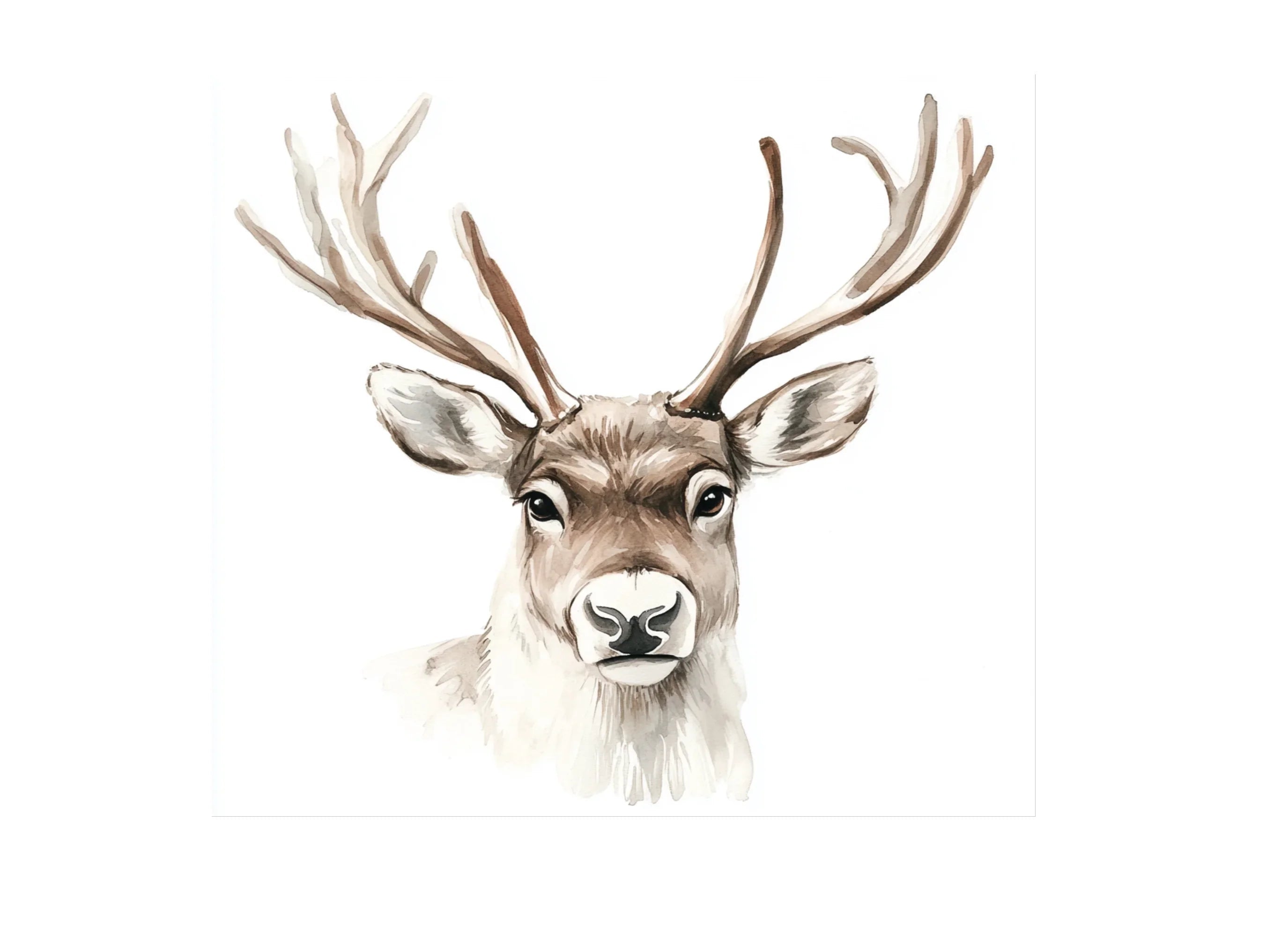 Cute Deer Clipart Bundle