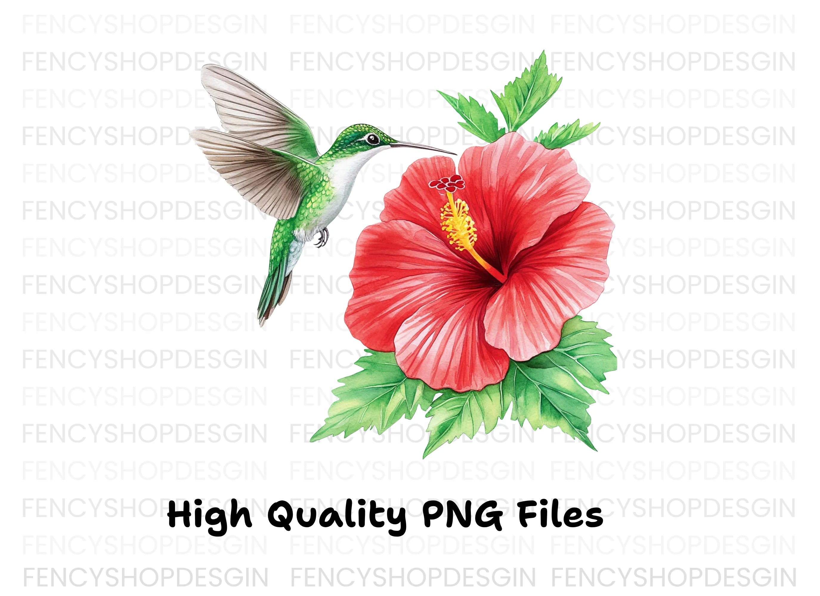 Hummingbird and Hibiscus Clipart Bundle