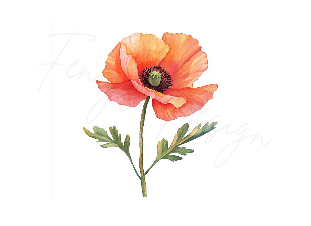 Poppy Flower Clipart Bundle