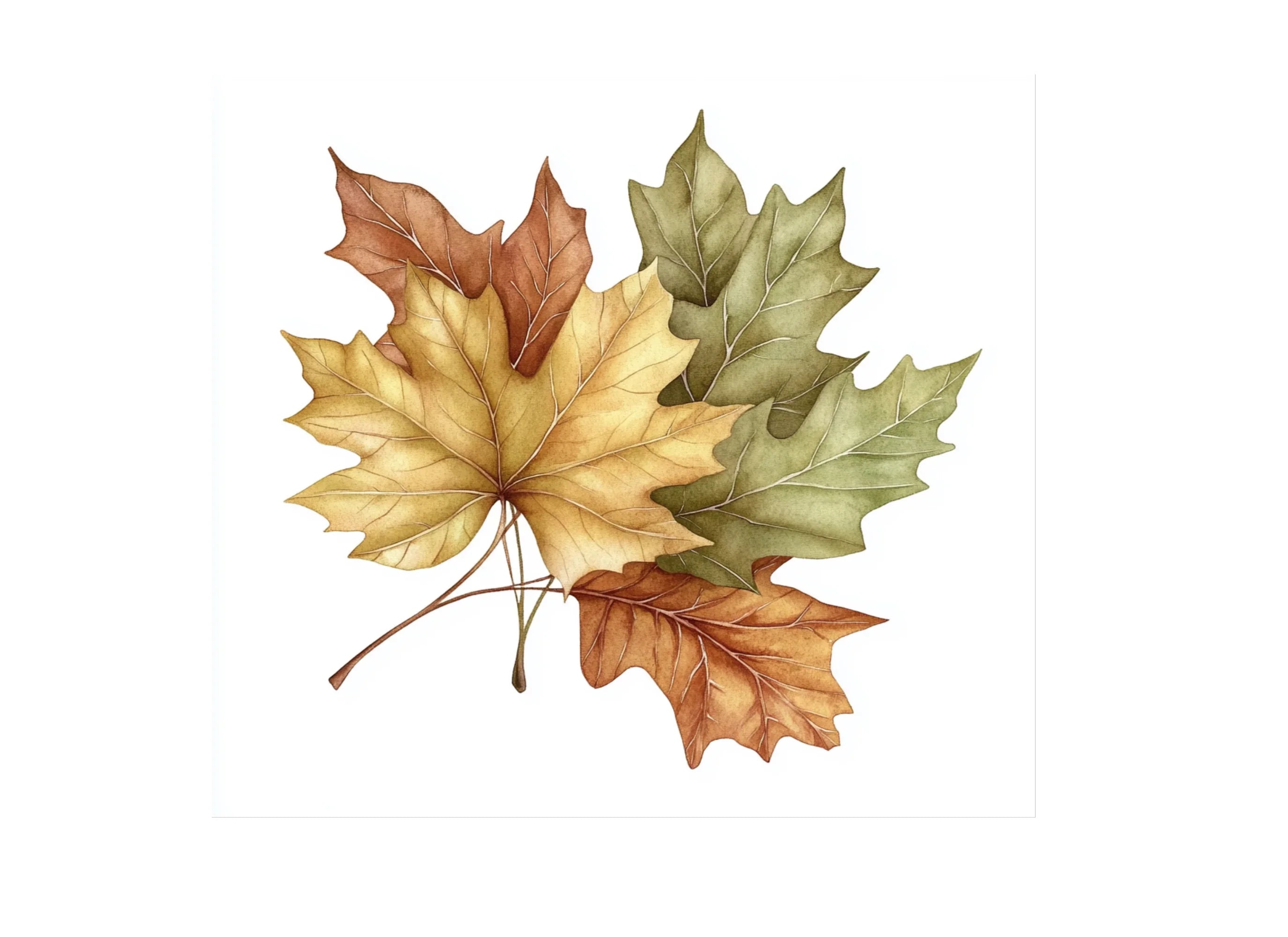 Autumn Leaves Clipart Bundle