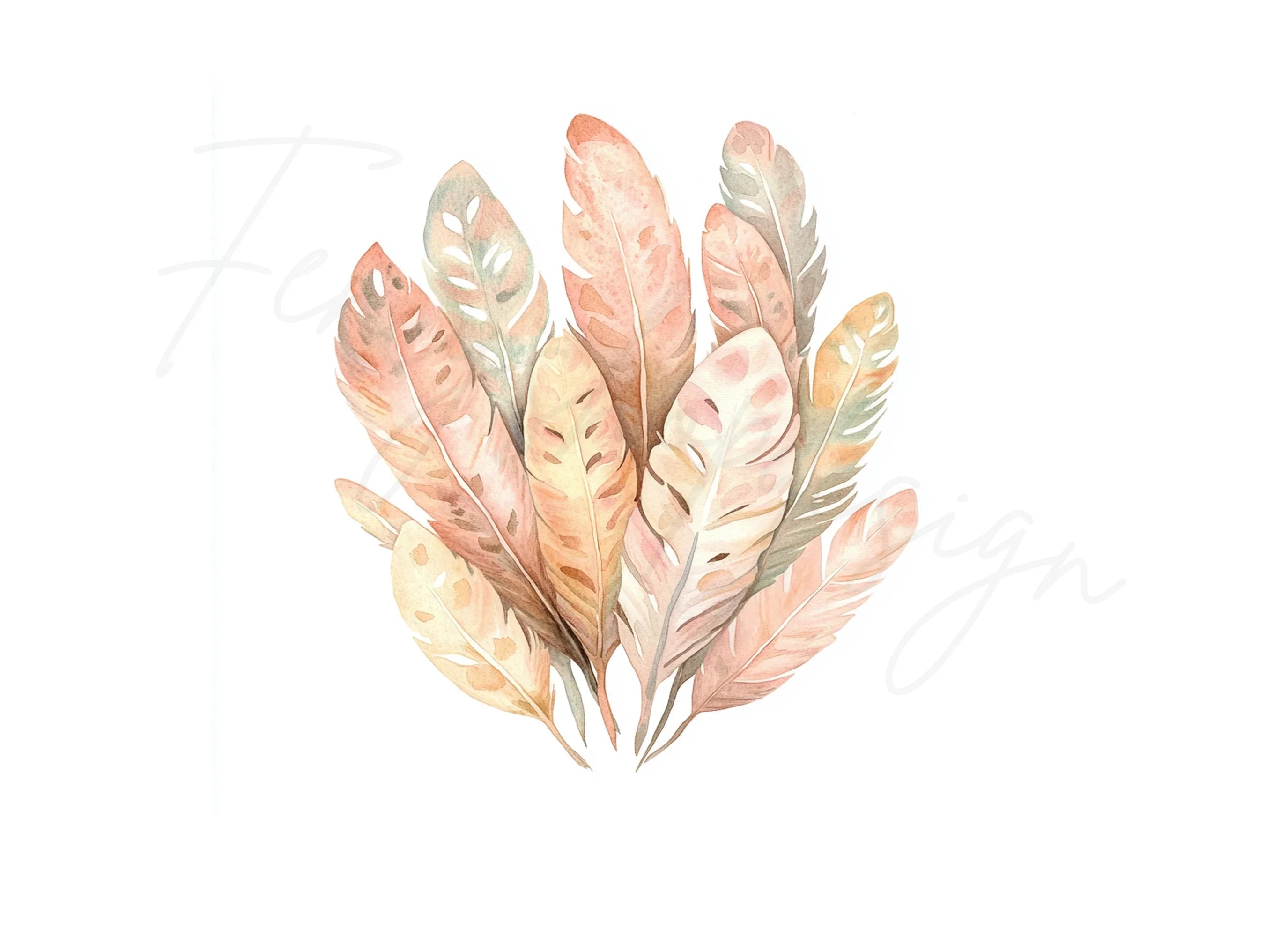 Boho Chic Feather Clipart Bundle