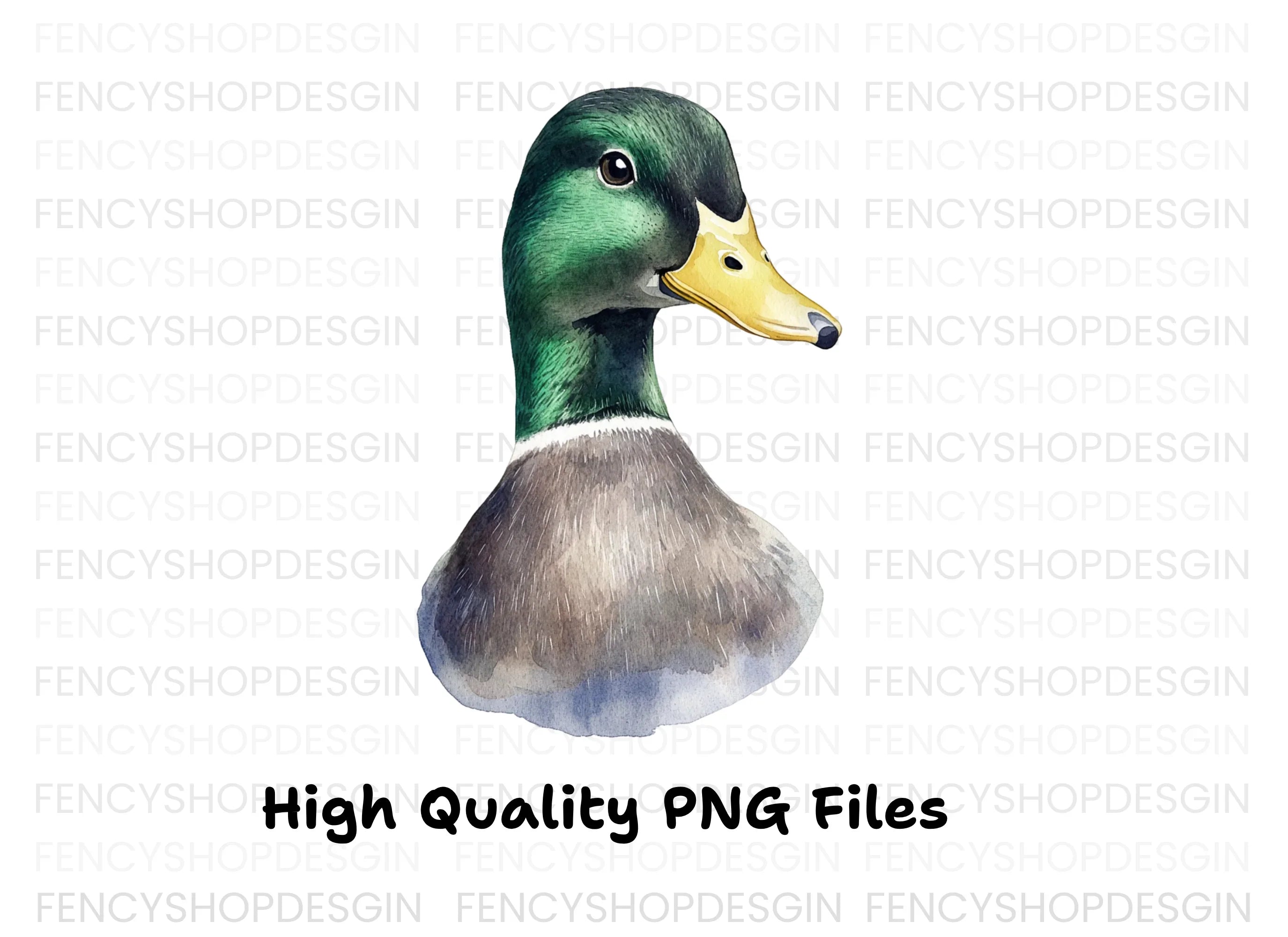 Mallard Duck Head Clipart Bundle