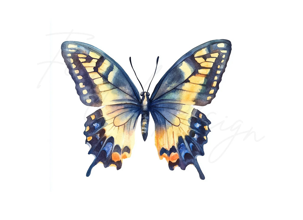 Butterfly Clipart Bundle