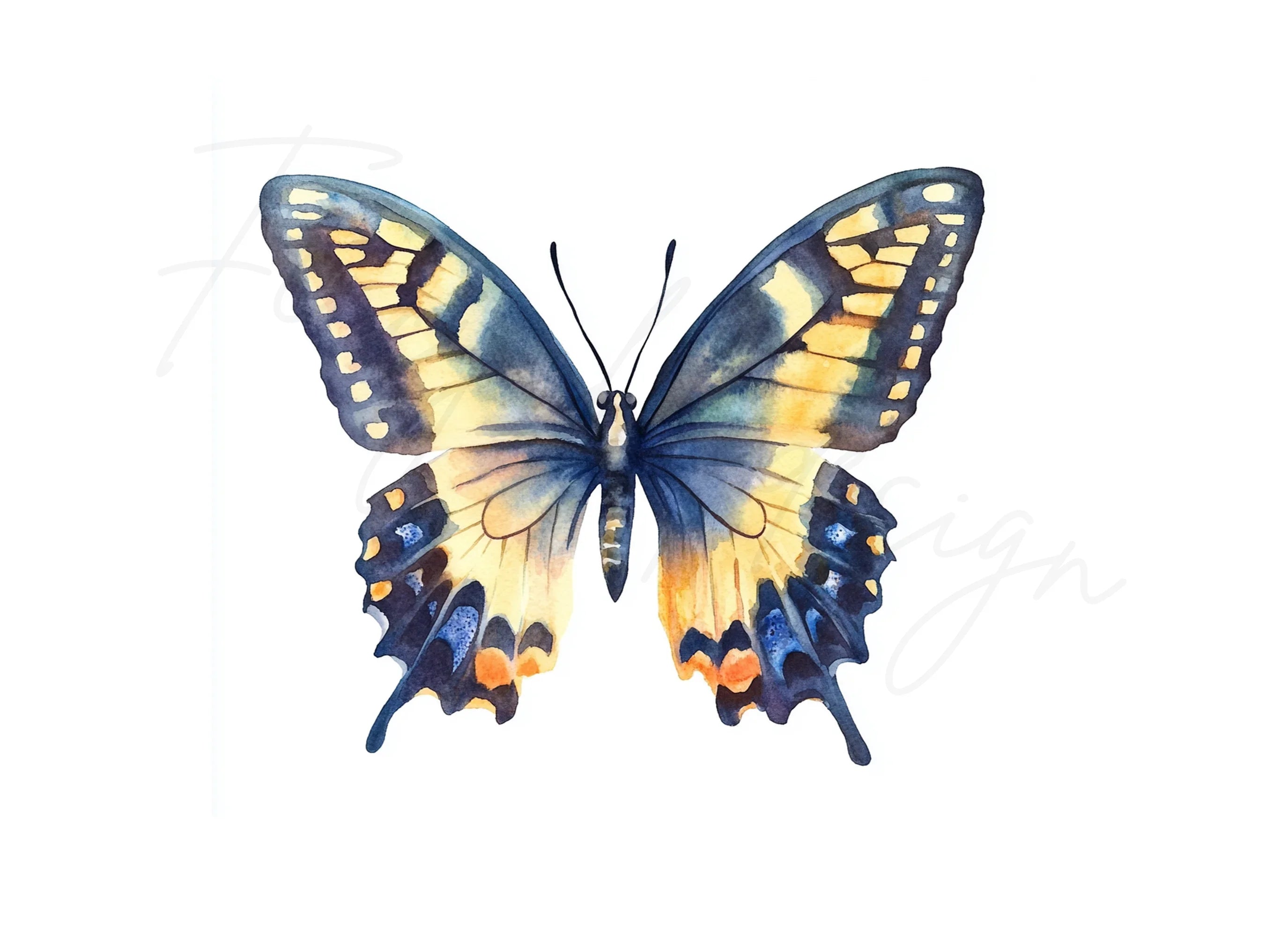Butterfly Clipart Bundle