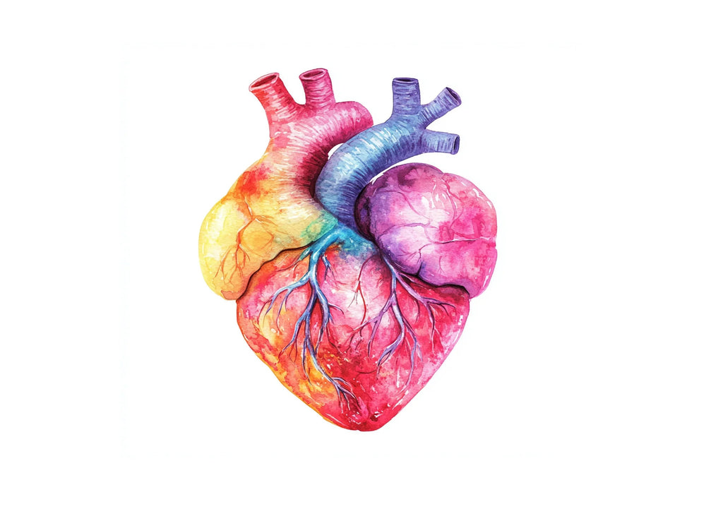 Vibrant Human Heart Clipart Bundle