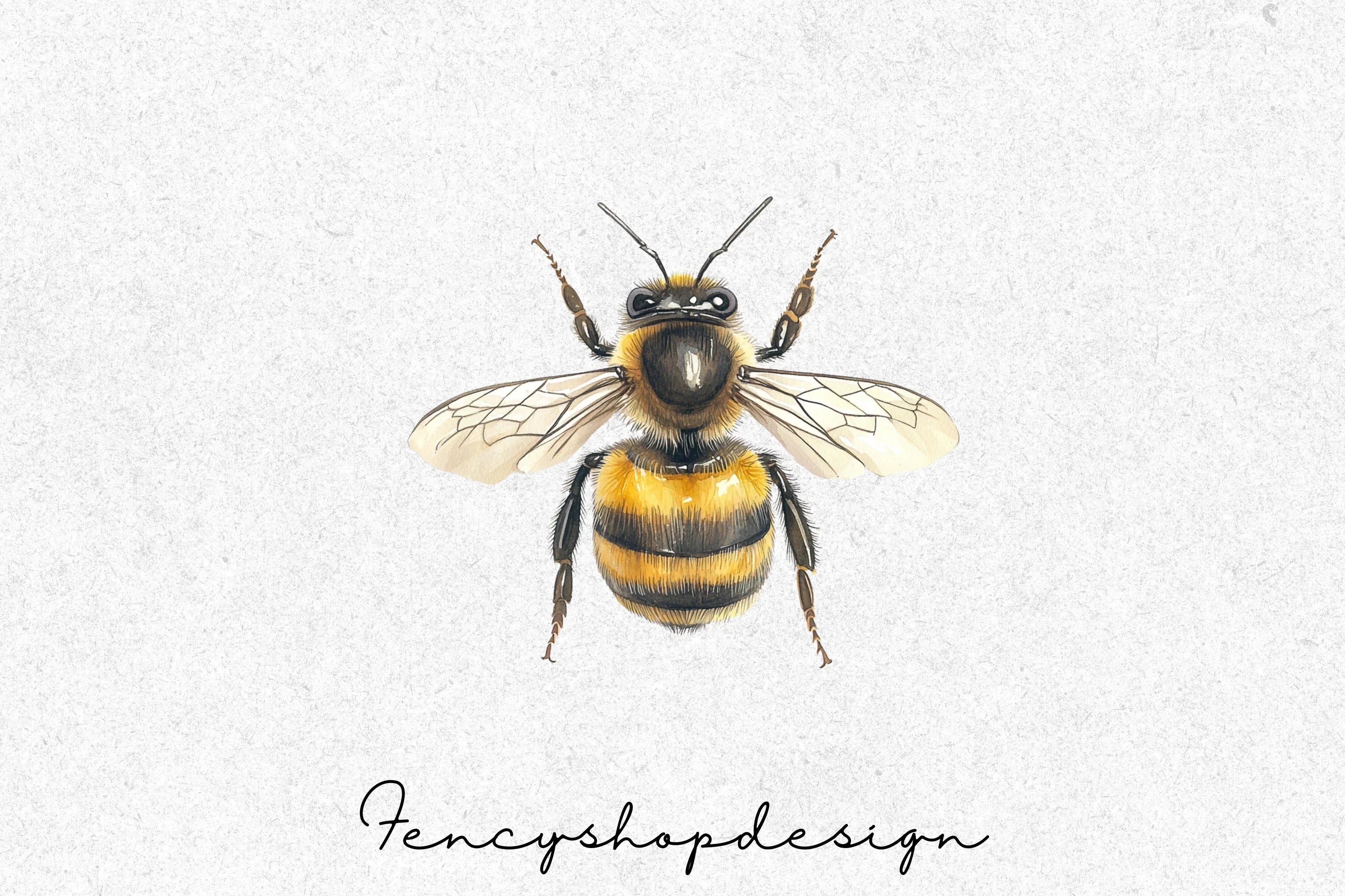 Realistic Bumblebee Clipart Bundle