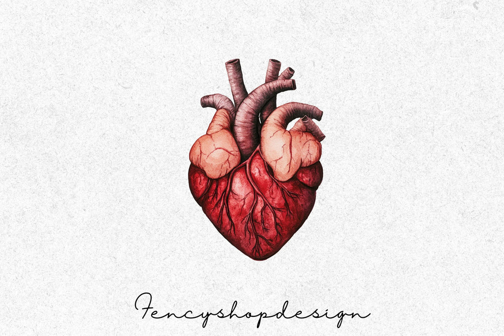 Realistic Anatomical Human Hearts Clipart Bundle