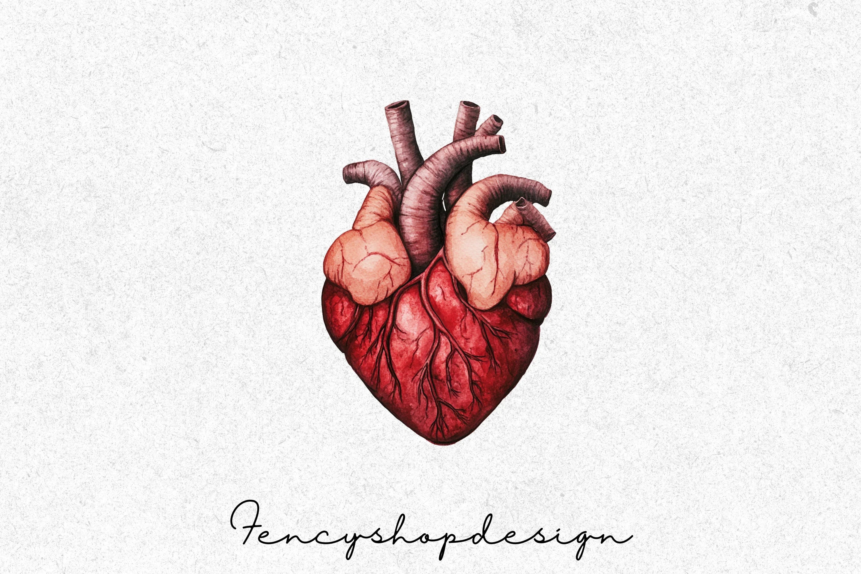 Realistic Anatomical Human Hearts Clipart Bundle