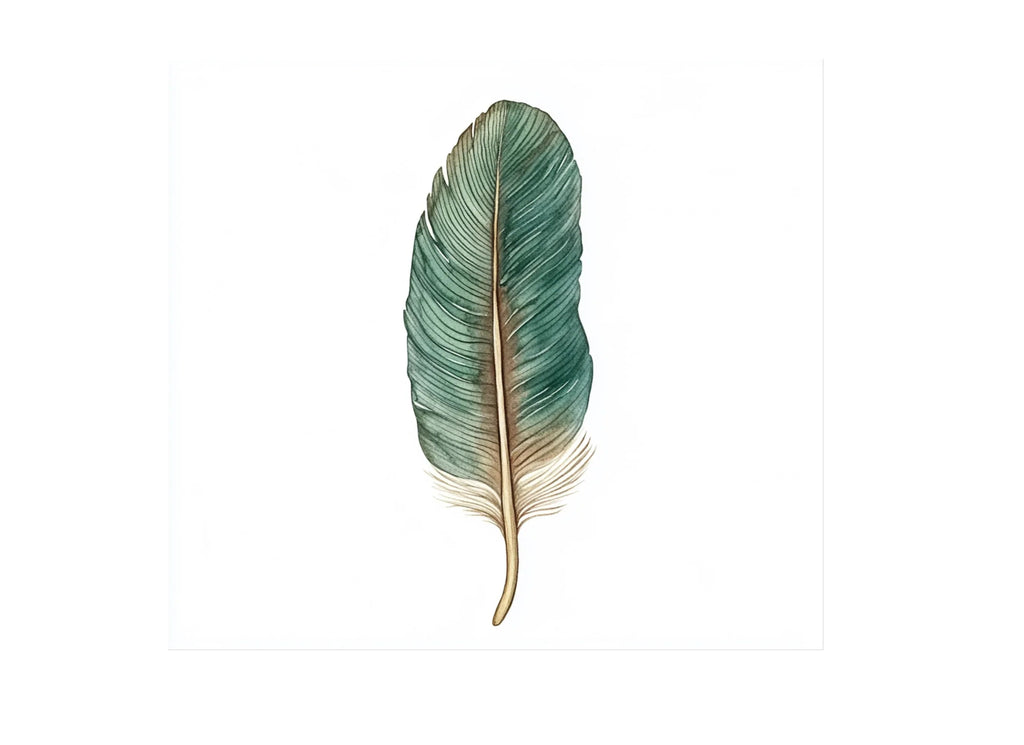 Colorful Feather Clipart Bundle