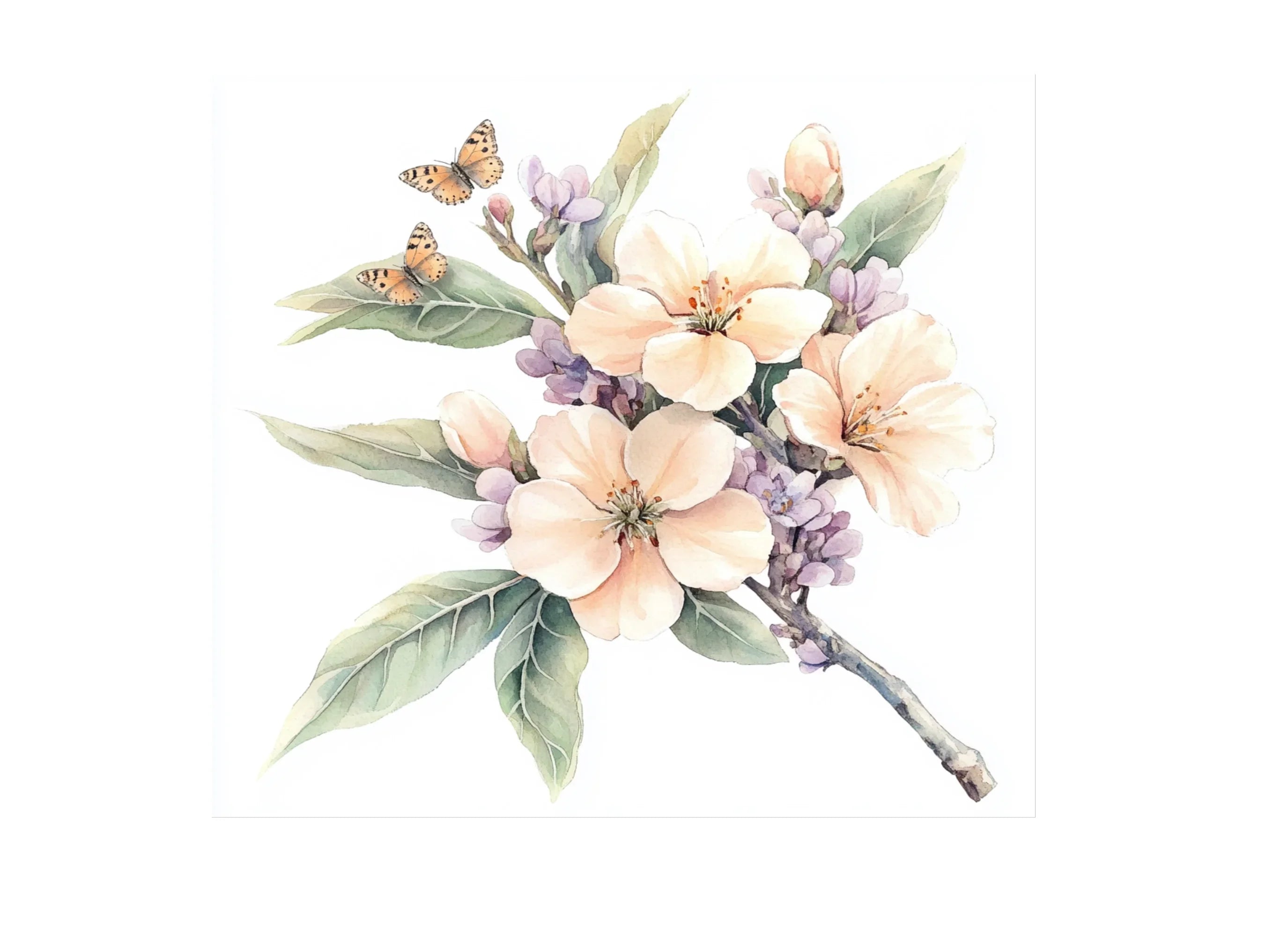 Butterfly Floral Clipart Bundle