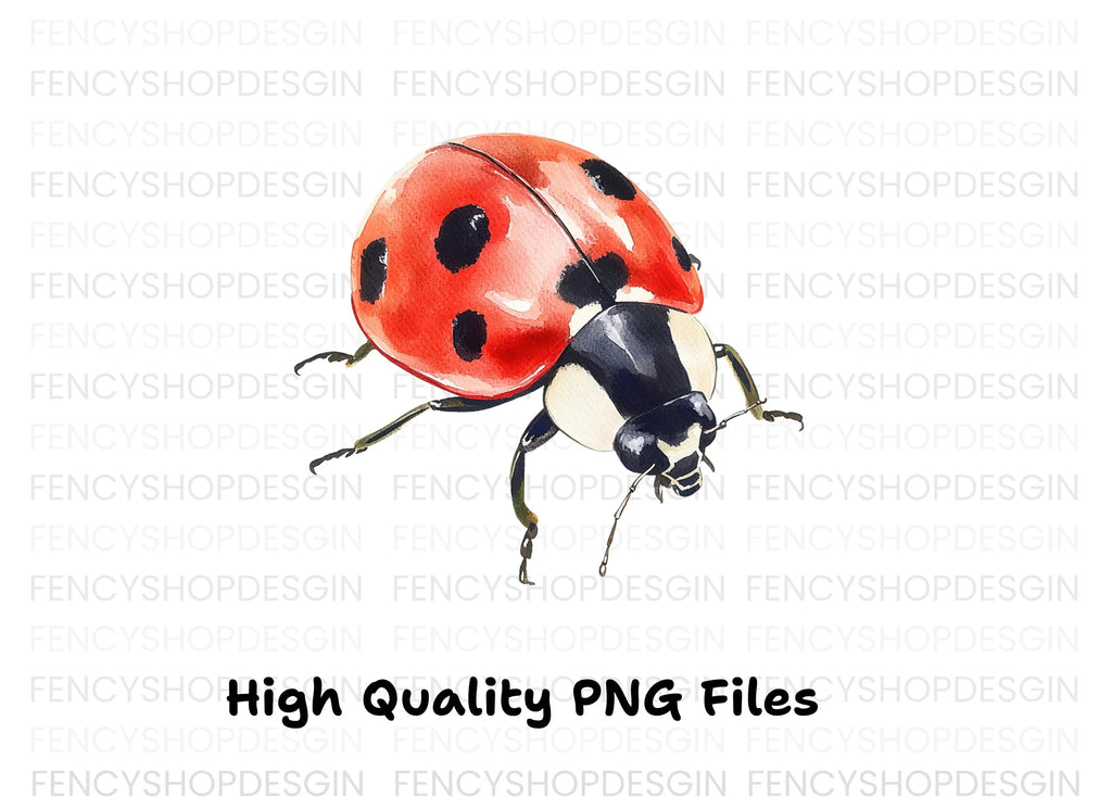 Realistic Ladybug Clipart Bundle