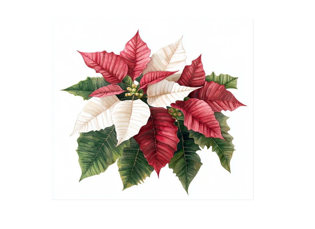 Poinsettia Clipart Bundle