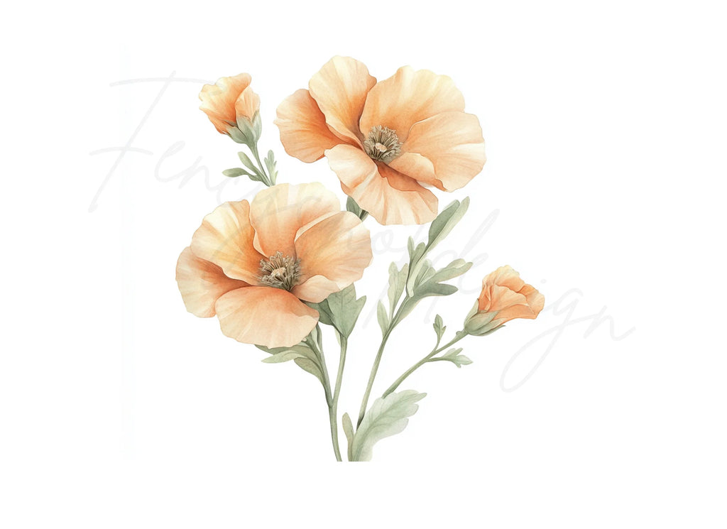 Poppy Clipart Bundle