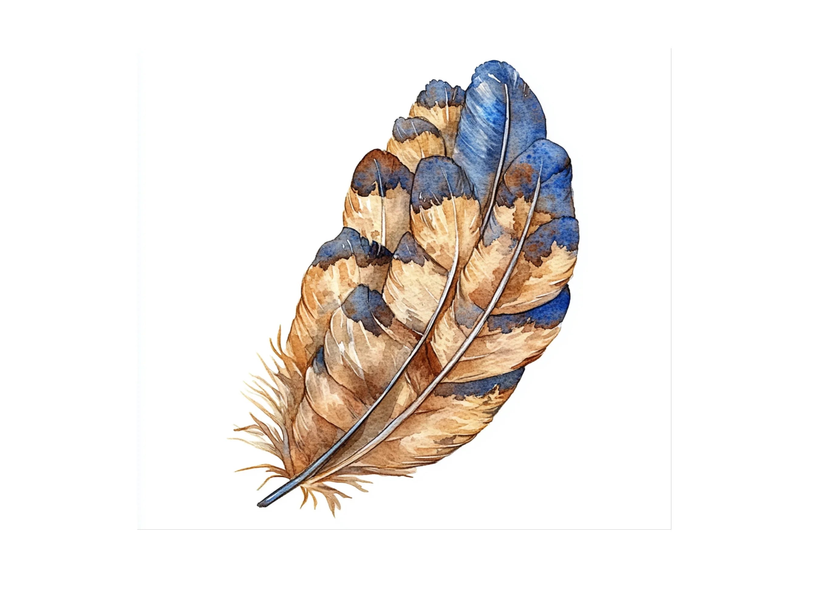 Rustic Feather Clipart Bundle