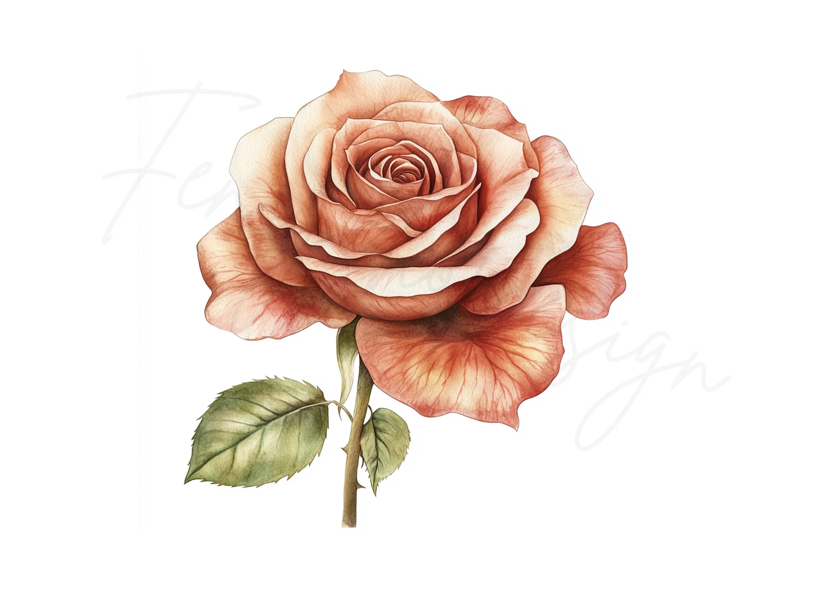 Elegant Rose Clipart Bundle
