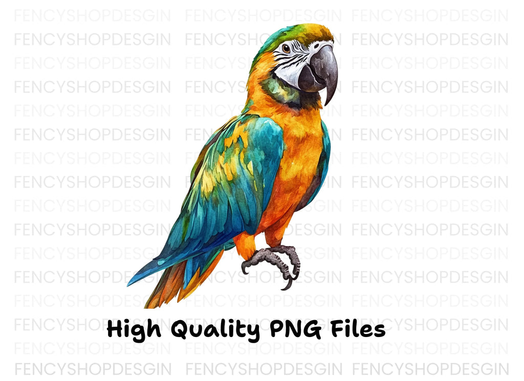 Vibrant Macaw Clipart Bundle