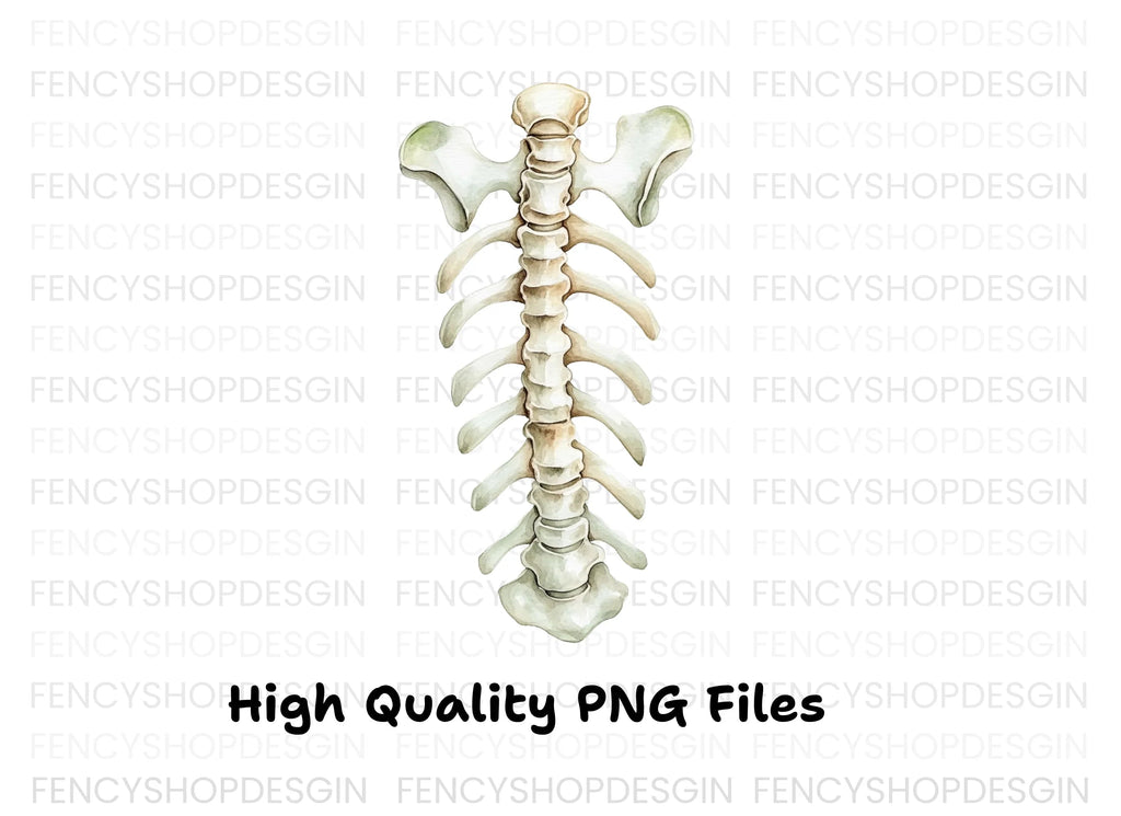 Human Spine and Ribs Clipart Bundle