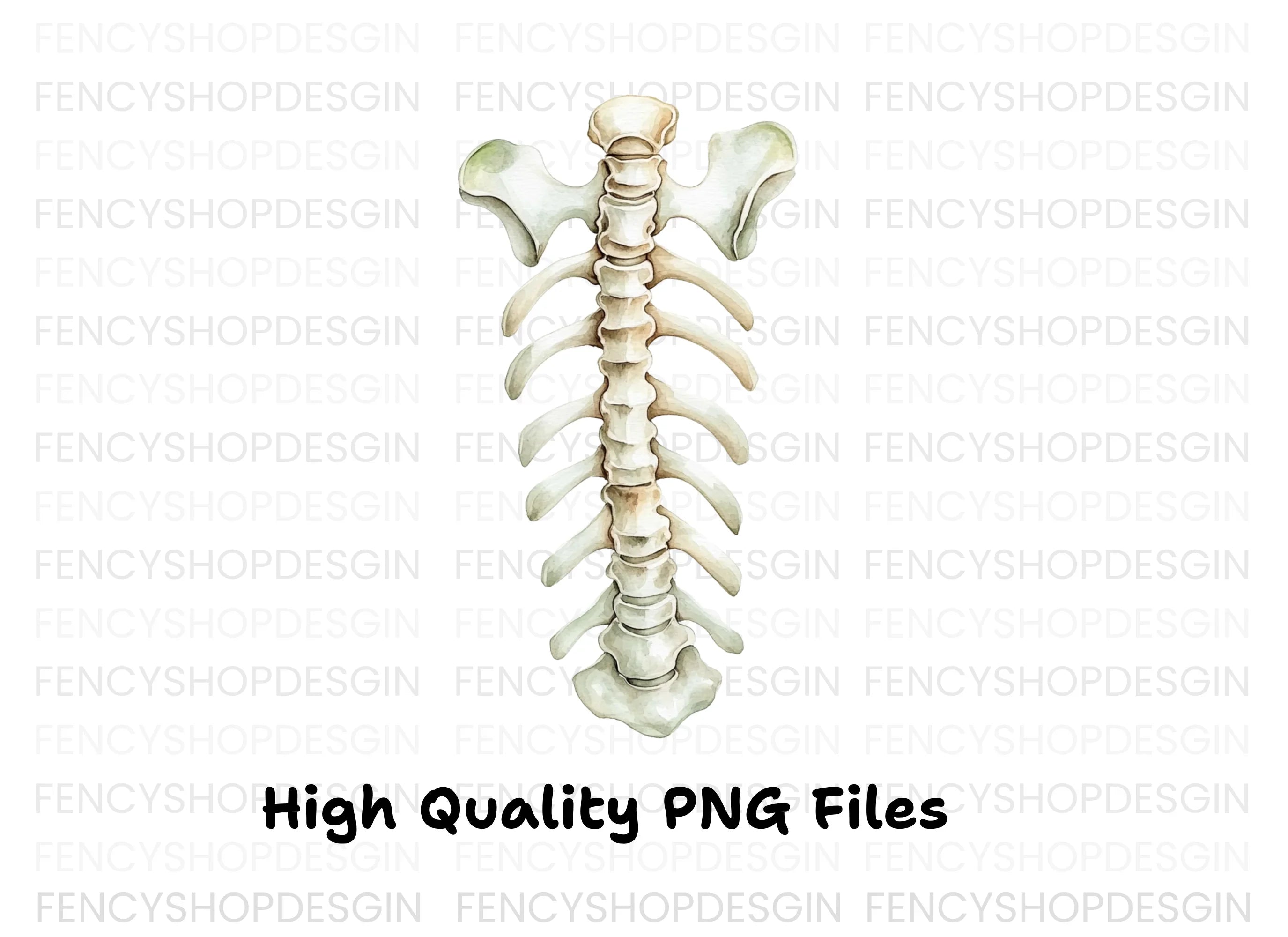 Human Spine and Ribs Clipart Bundle
