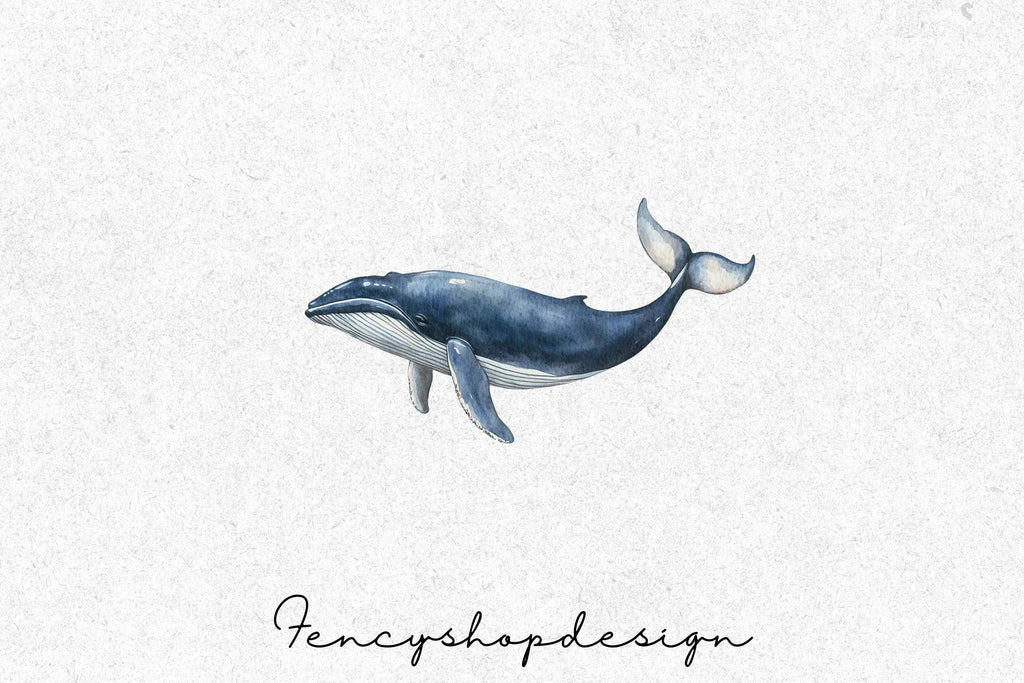 Majestic Whale Clipart Bundle