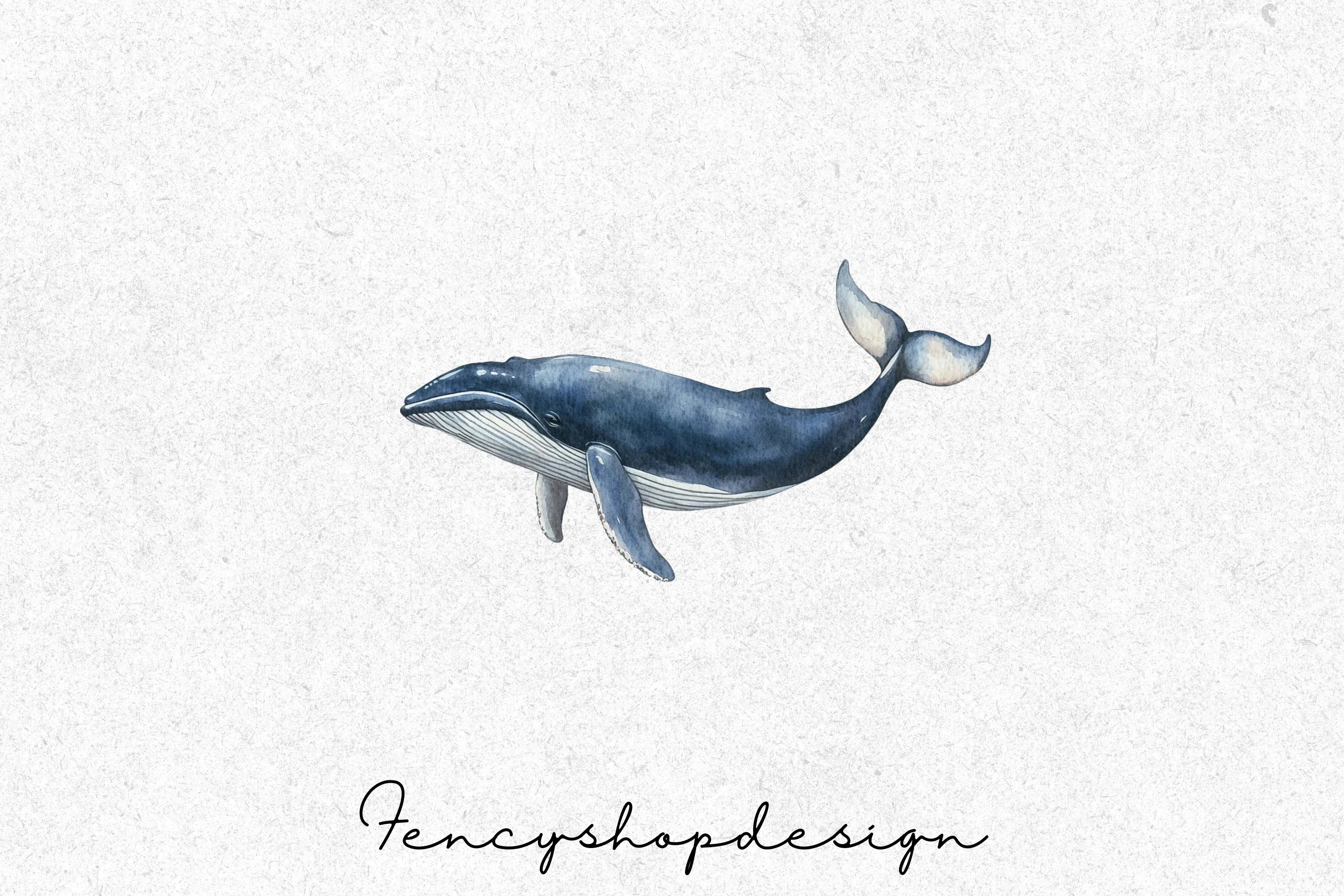 Majestic Whale Clipart Bundle