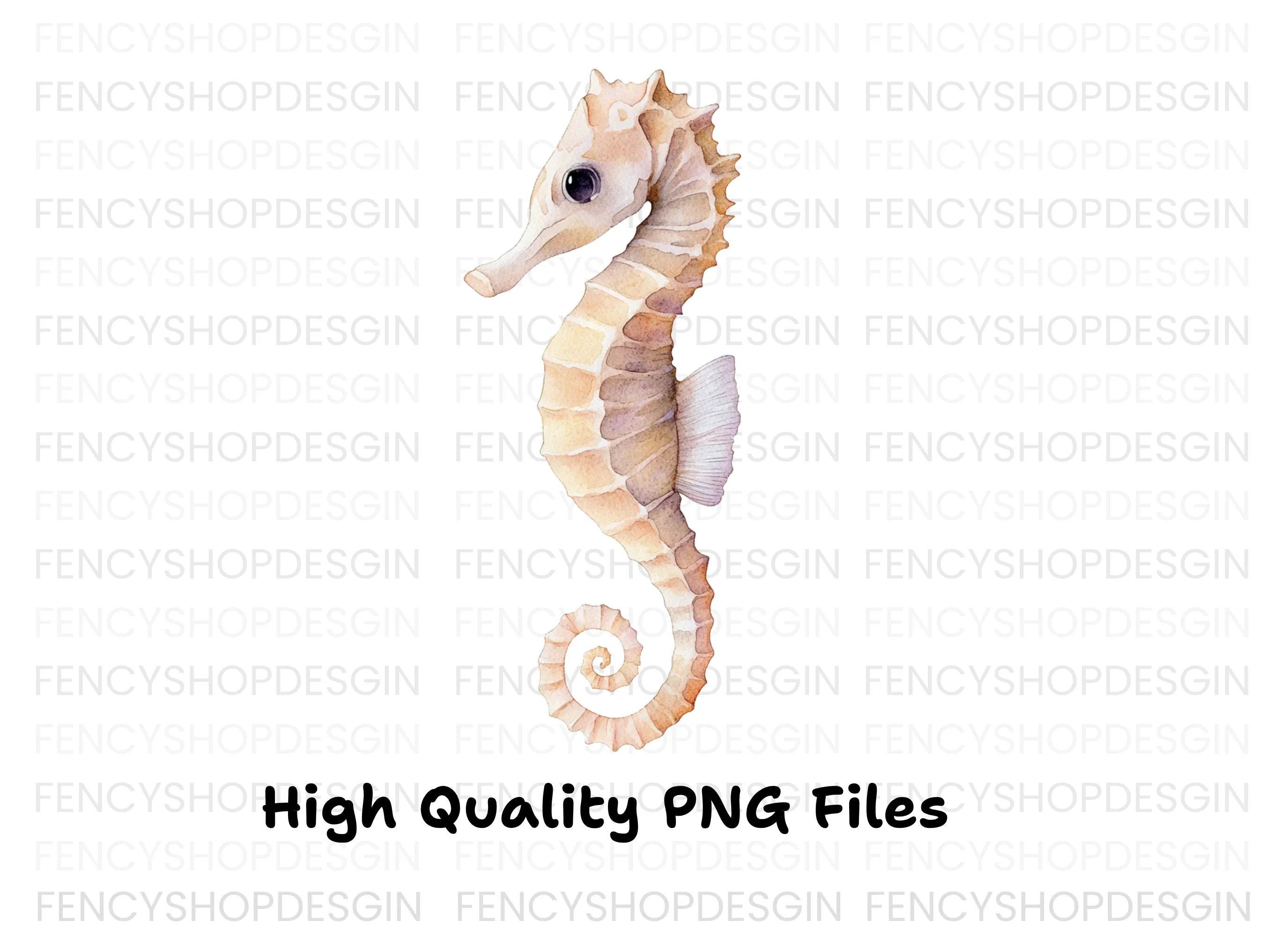 Cute Seahorse Clipart Bundle