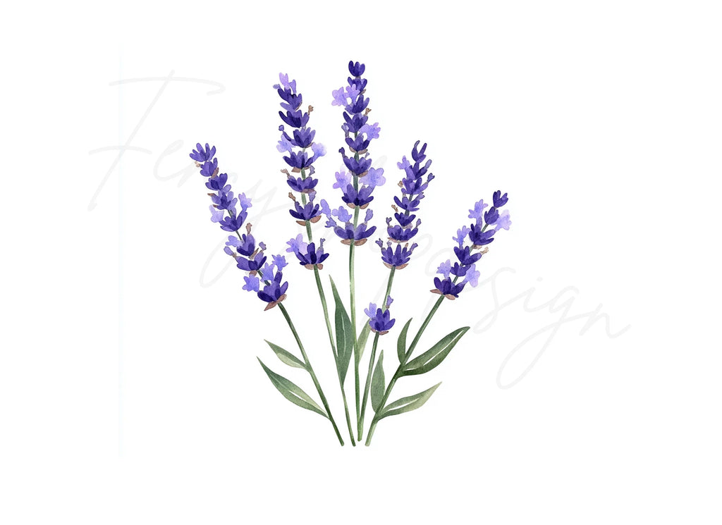 Lavender Clipart Bundle